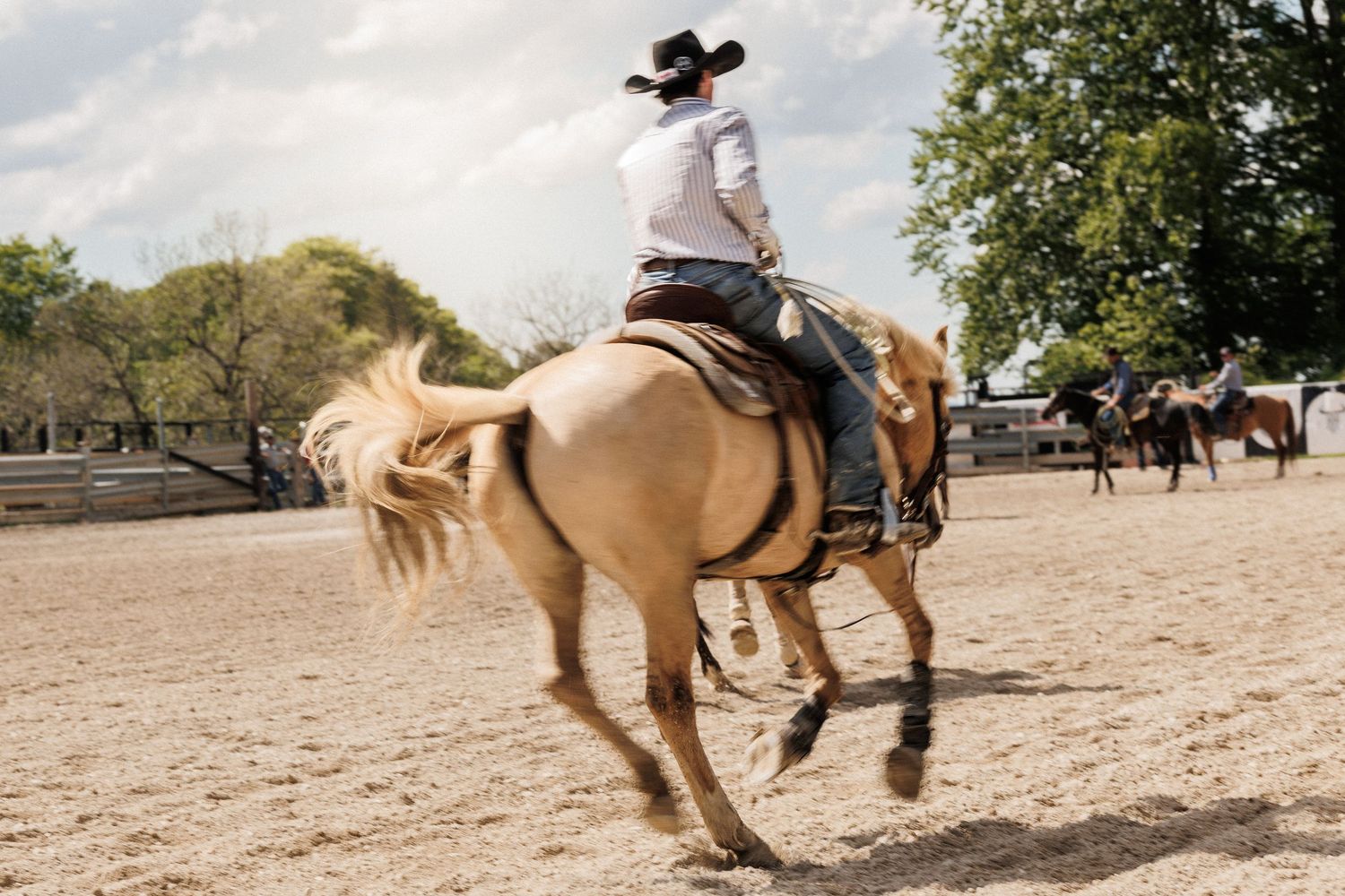 A cowboy rides a bucking palomino horse in a sandy arena during a rodeo event.