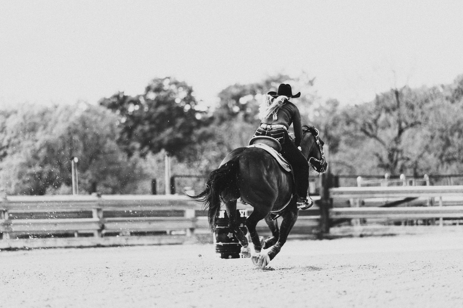Black and white photo of a rider on a dark horse in a sandy arena with wooden fencing and trees in background.