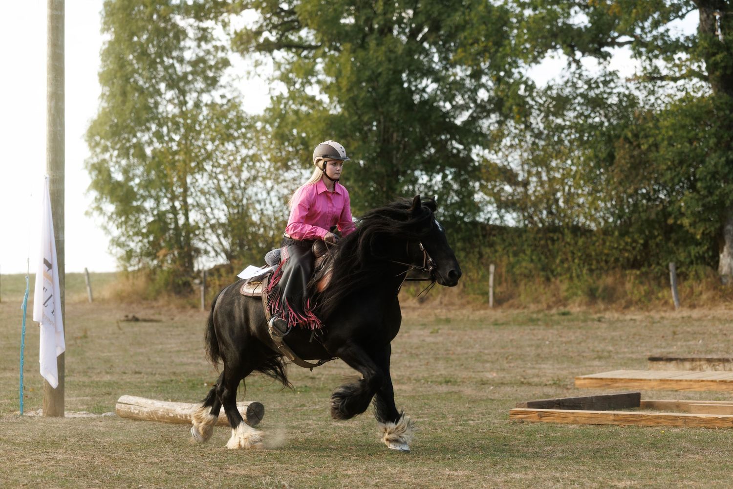 A rider in a pink jacket and helmet gallops a black horse across a grassy outdoor equestrian course.