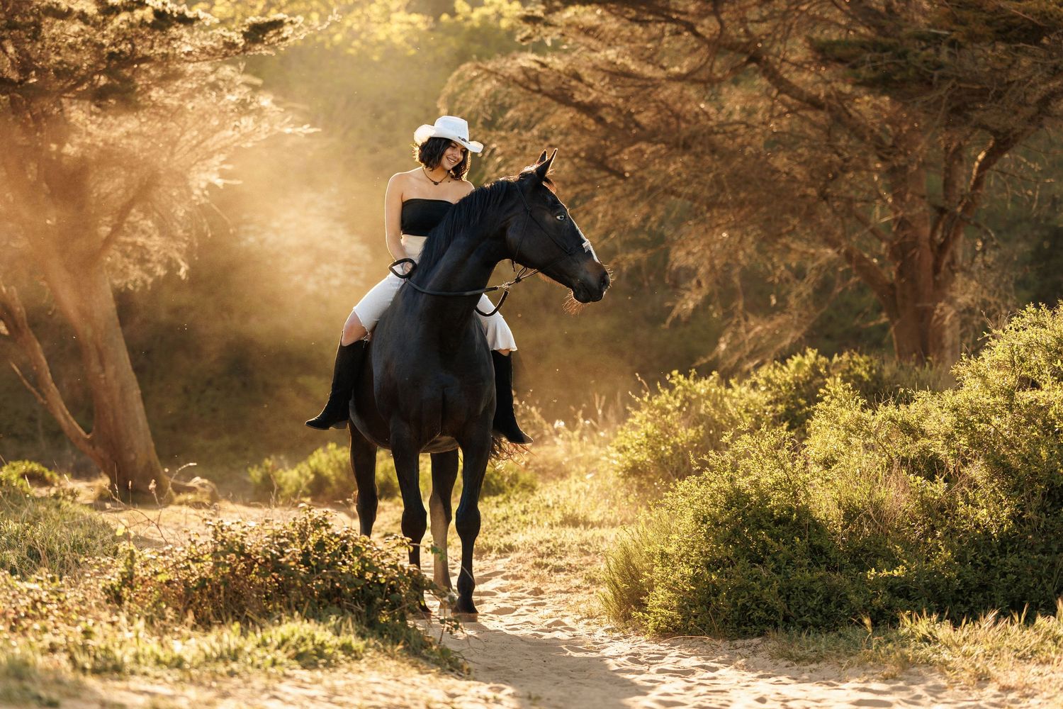 A rider in white attire on a black horse trotting through a sunlit forest path with golden dust in the air.