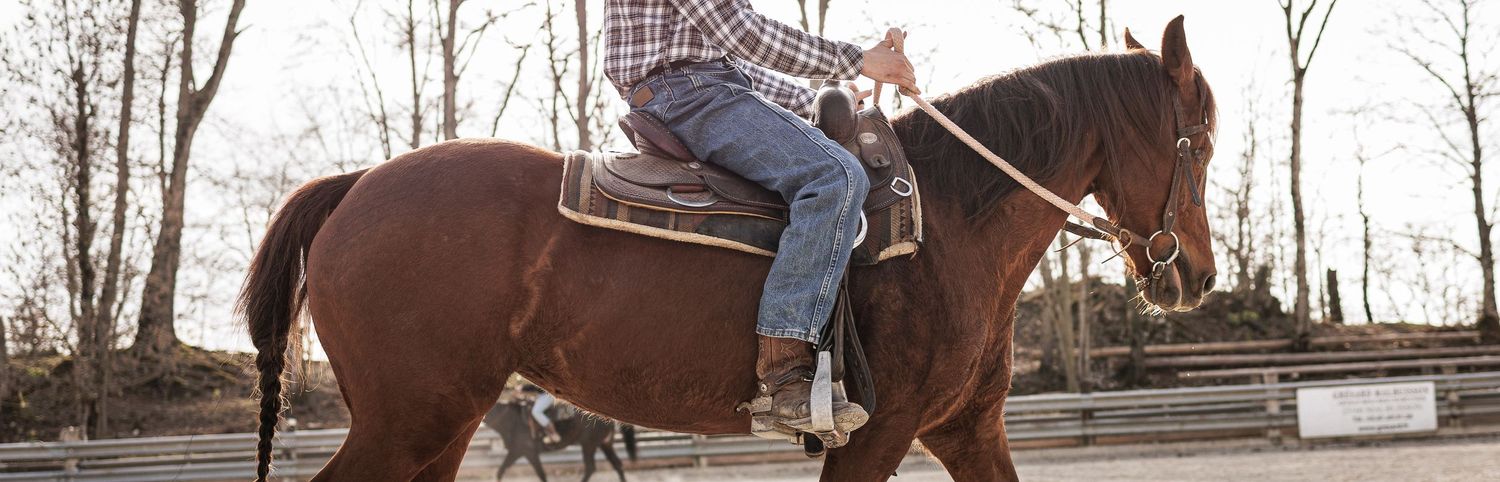 A person in a plaid shirt riding a chestnut horse in an outdoor arena.
