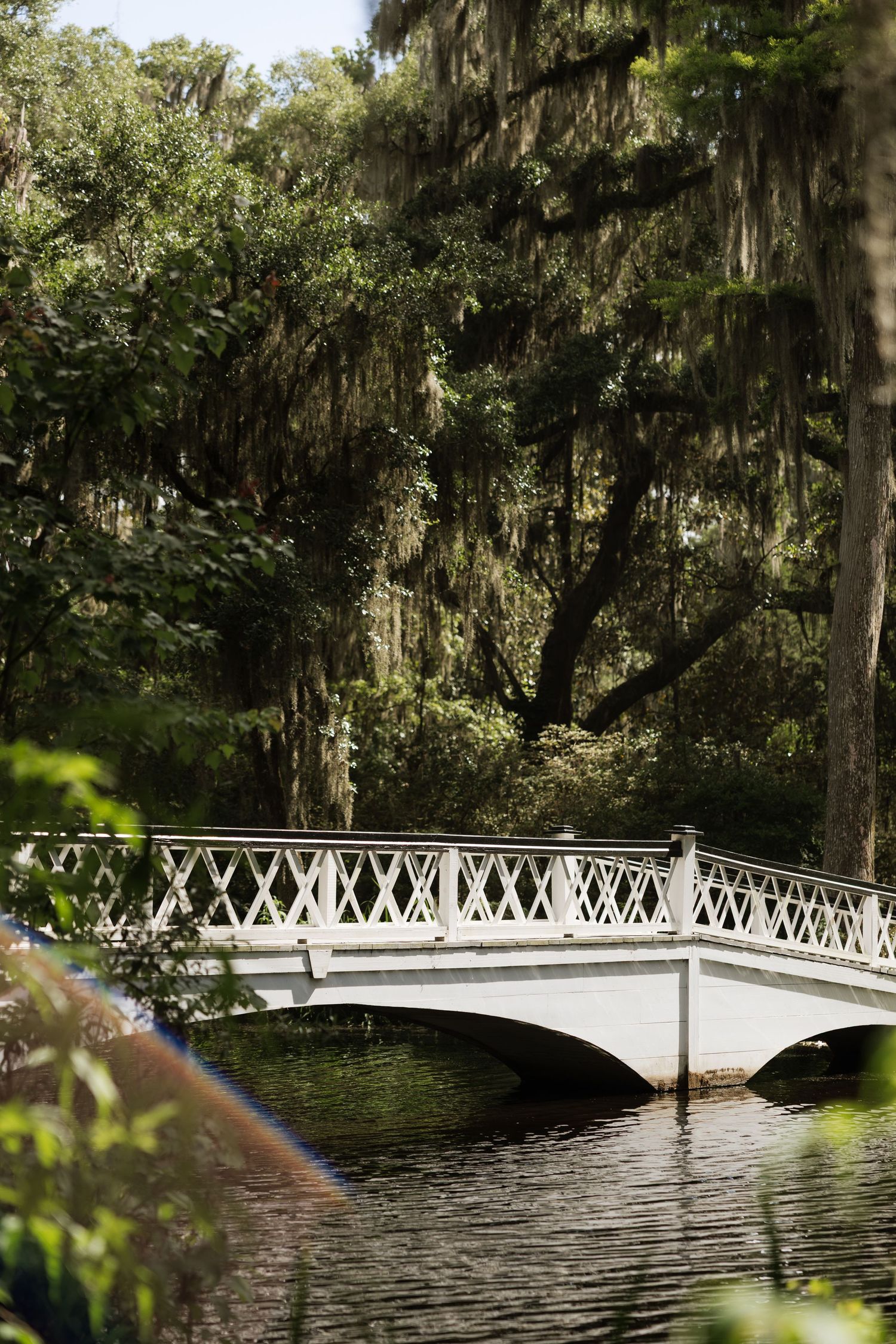 White ornamental footbridge over calm water surrounded by moss-draped oak trees in a lush Southern garden.