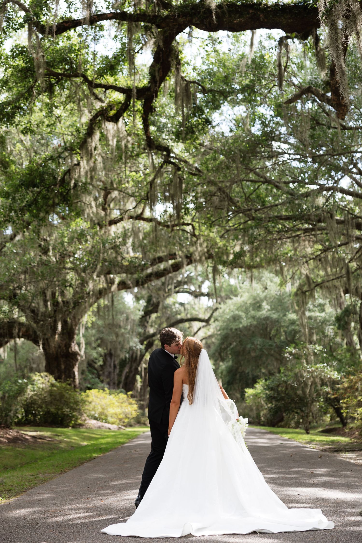 Bride and groom share a romantic kiss on a tree-lined path draped with Spanish moss on their wedding day.