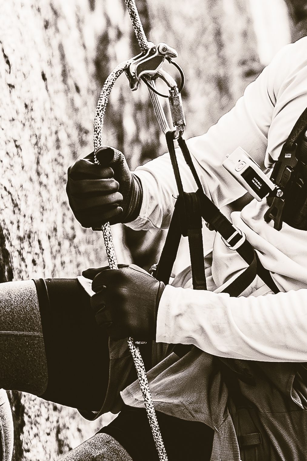 Close-up black and white photo of climber hands adjusting safety harness and carabiner rope system.