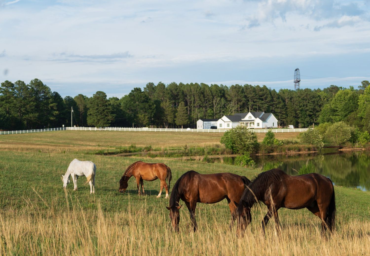 Three horses grazing in a lush green pasture beside a pond with a white farmhouse and trees in the background.