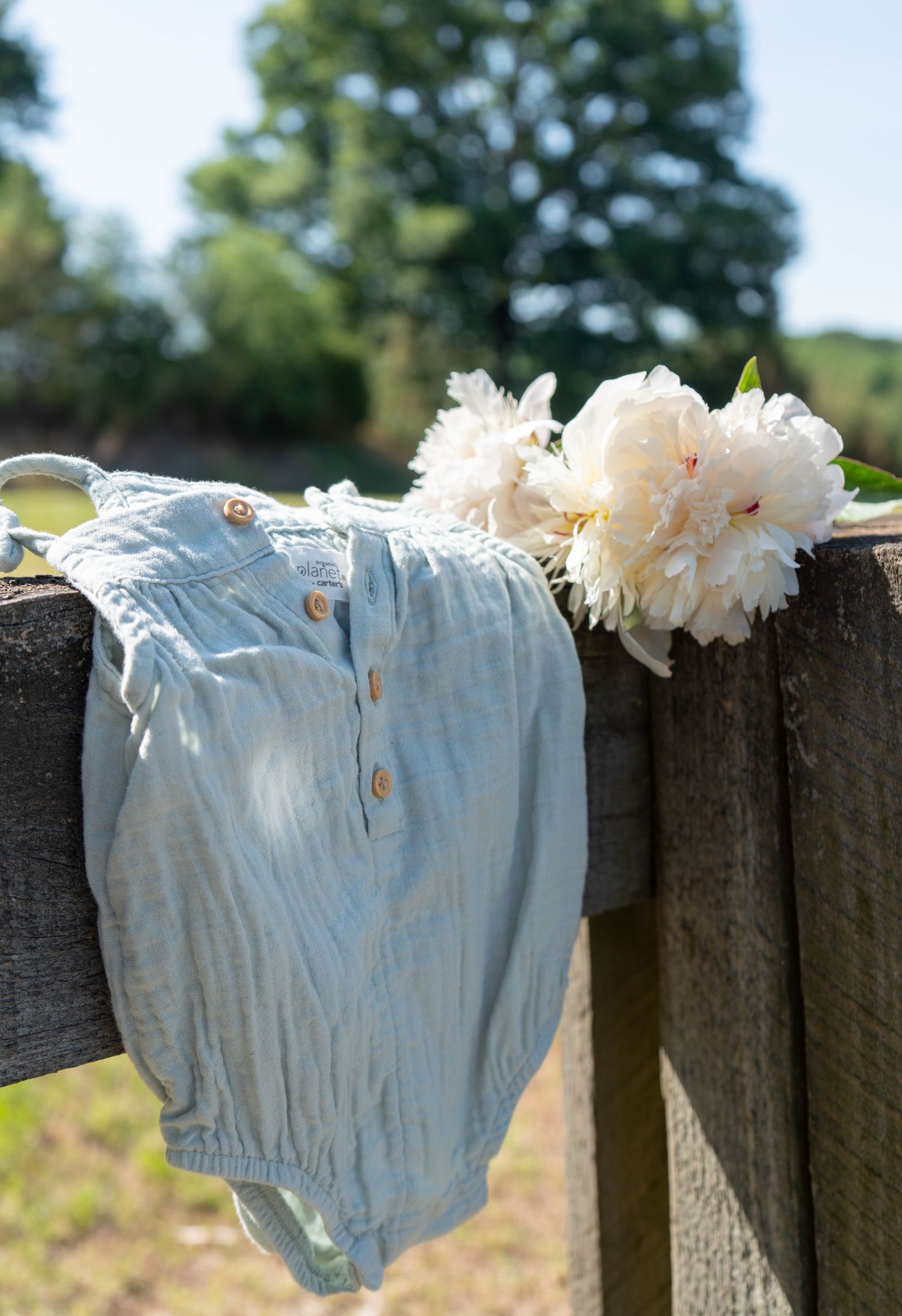 Light blue muslin baby romper with gold buttons draped over wooden fence with white peony flowers outdoors.
