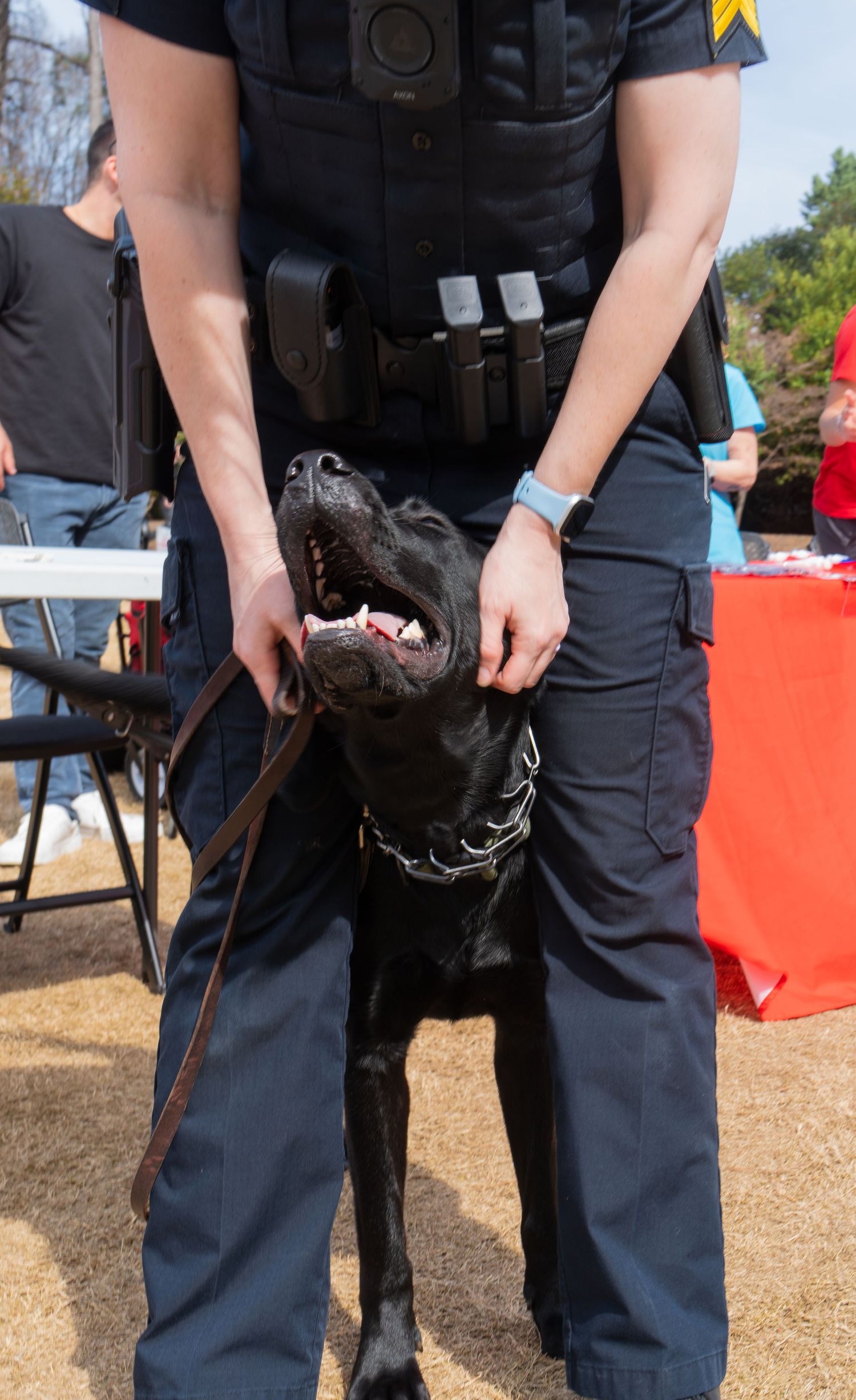A police officer pets a black Labrador dog on a leash at an outdoor campus event.