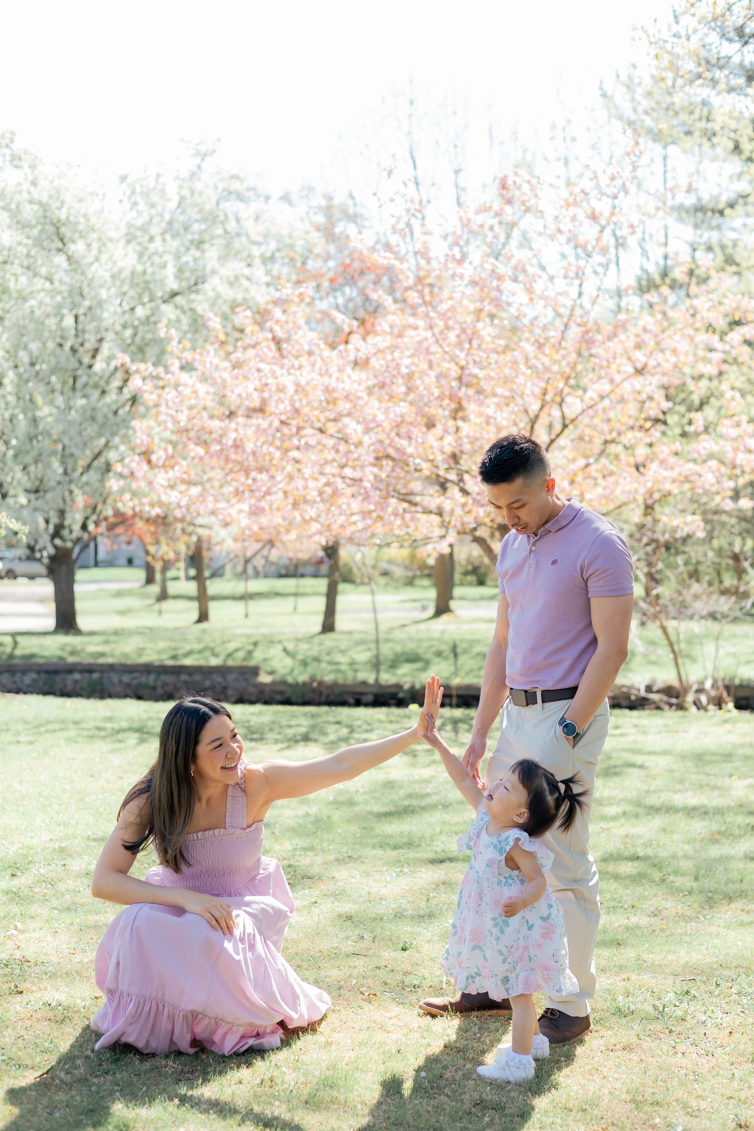 Family giving one another high fives during a lifestyle family session outdoors in the park