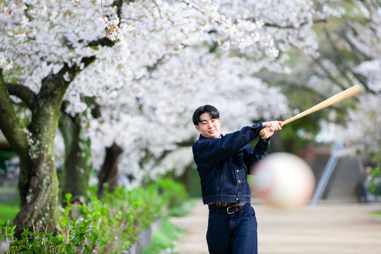 成人式　ホームラン　櫻　夙川公園 sakura