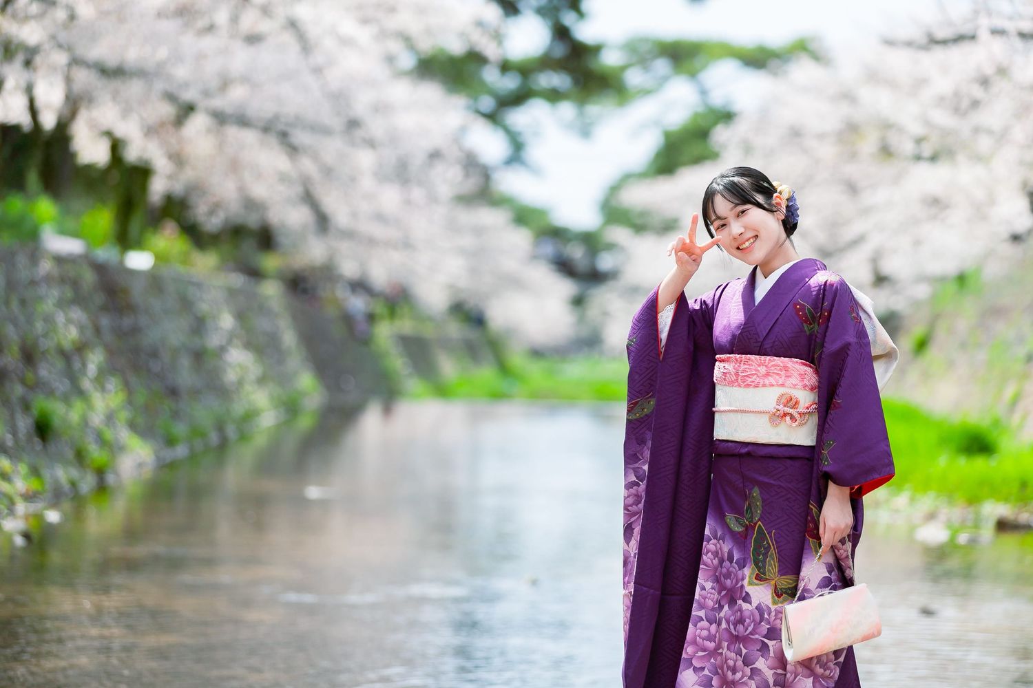 成人式　櫻　夙川公園 sakura