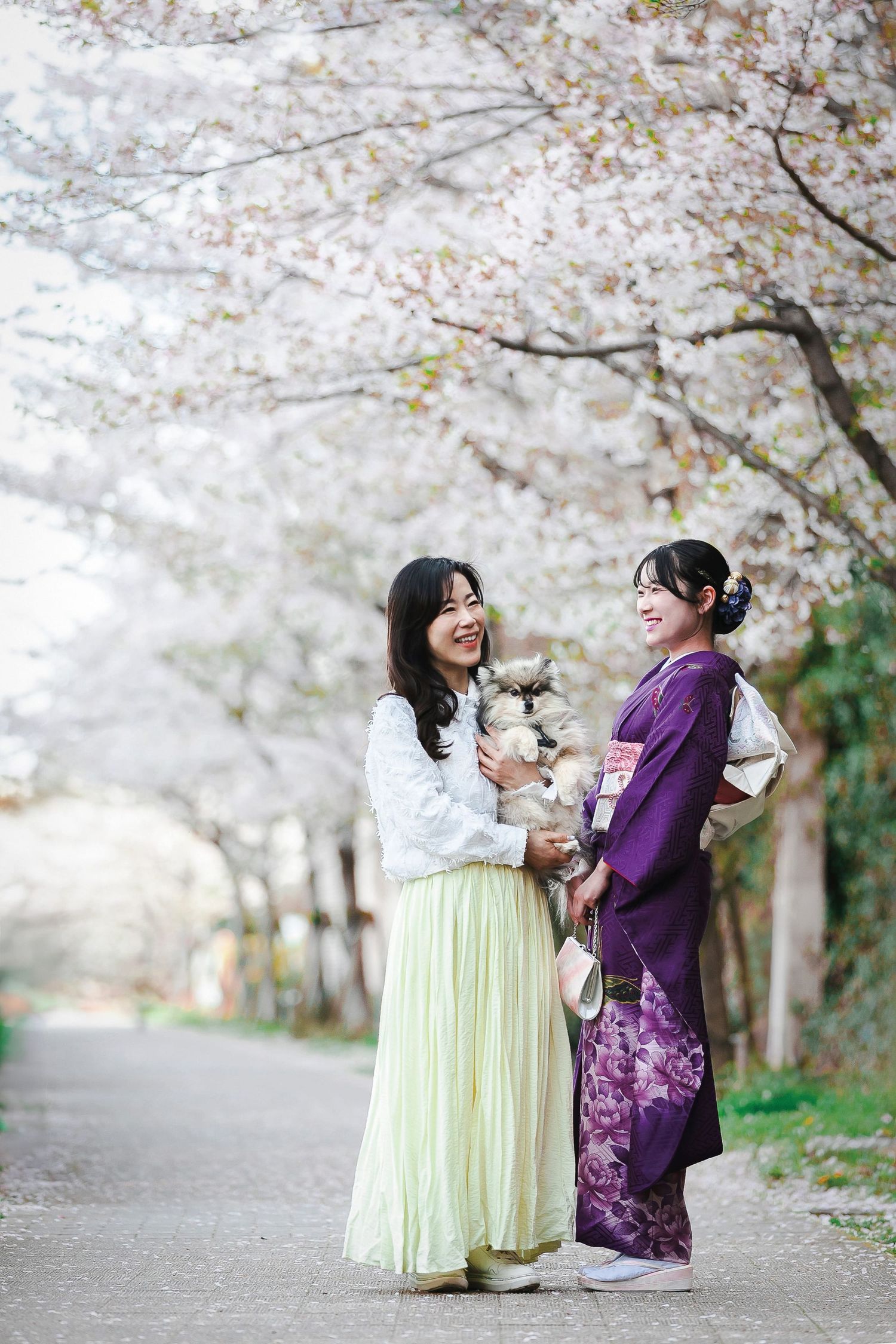 成人式　母と娘　櫻　夙川公園 sakura
