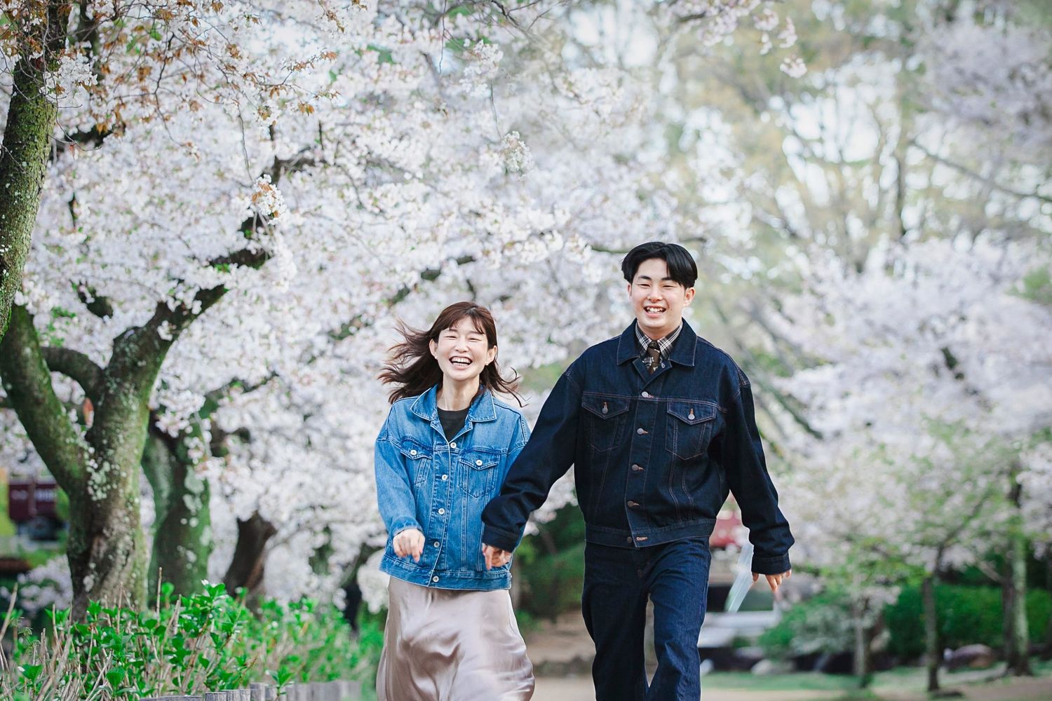 成人式　母と子　櫻　夙川公園 sakura