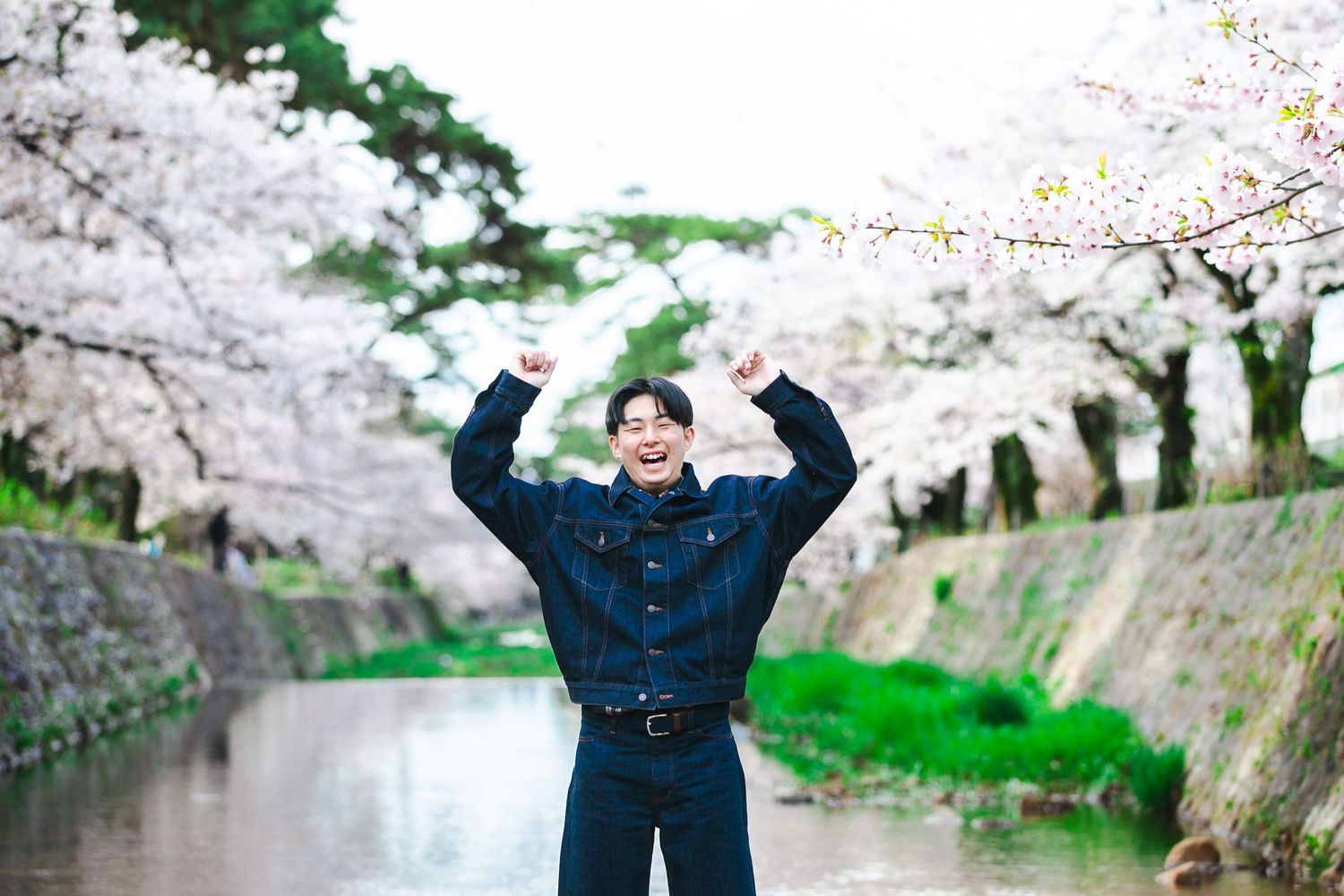 成人式　櫻　夙川公園 sakura