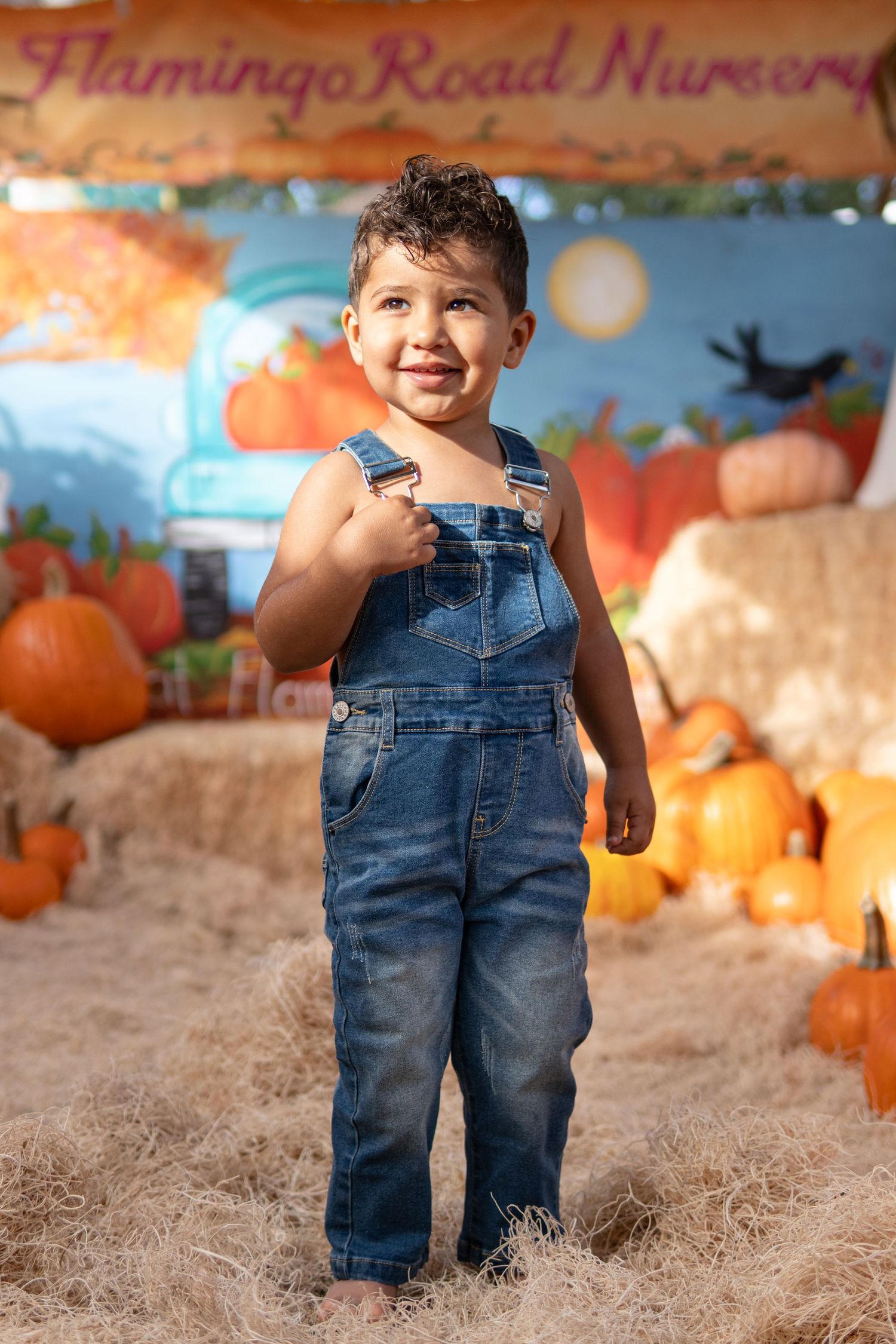 Mini session portrait in Davie Florida