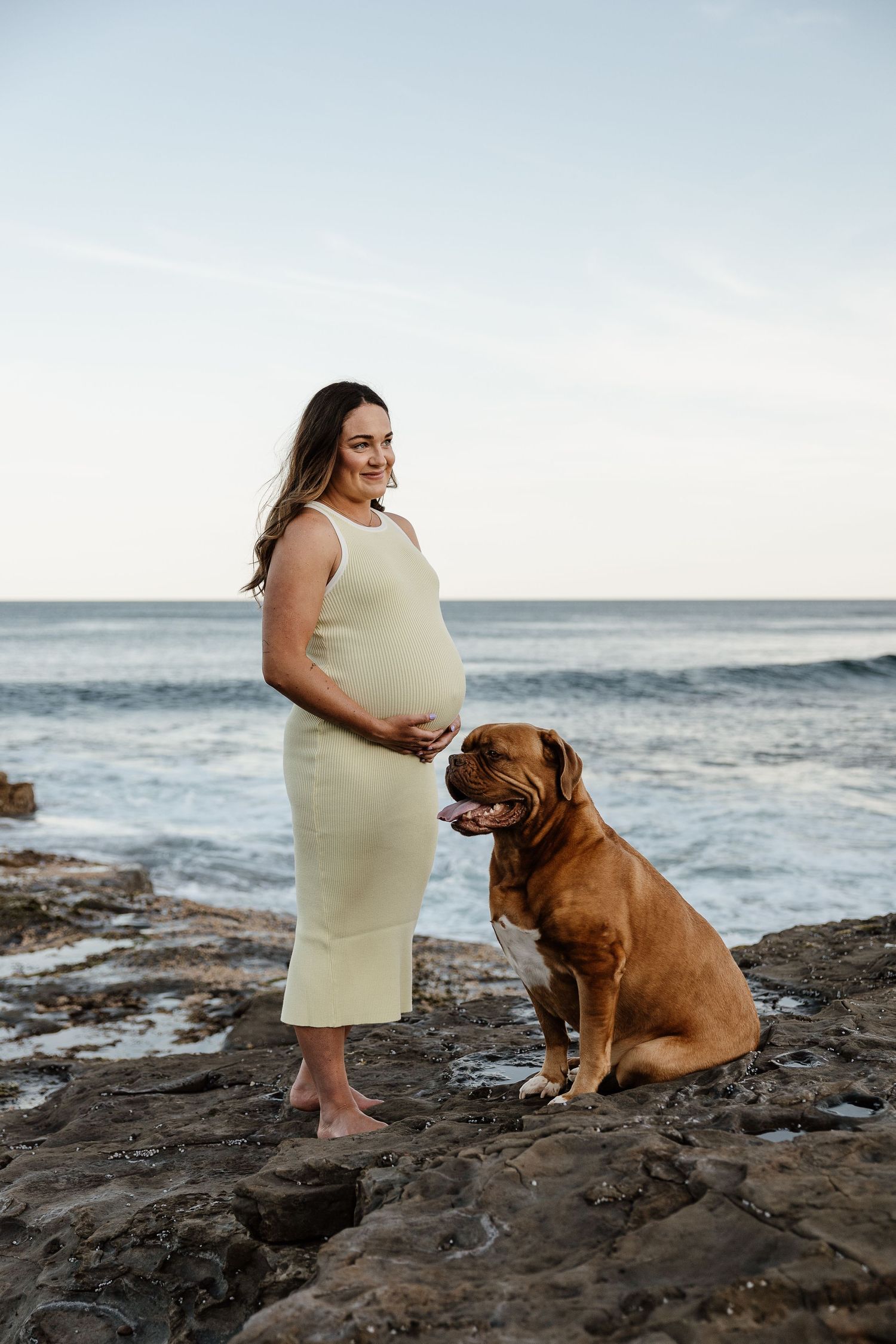 Pregnant woman in yellow dress stands with large brown Mastiff on rocks by sea.