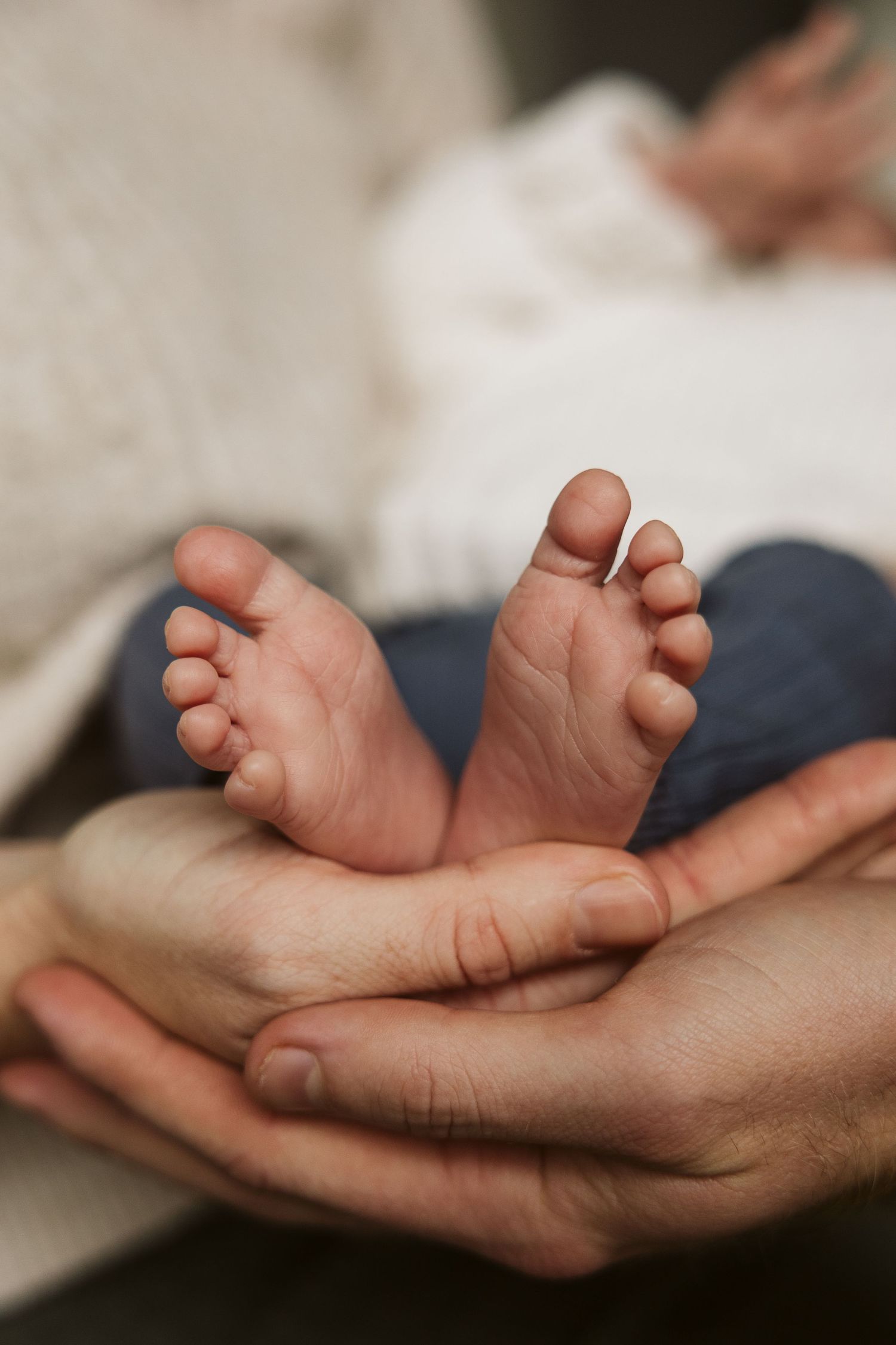 Tiny newborn baby feet cradled in parent's hands.