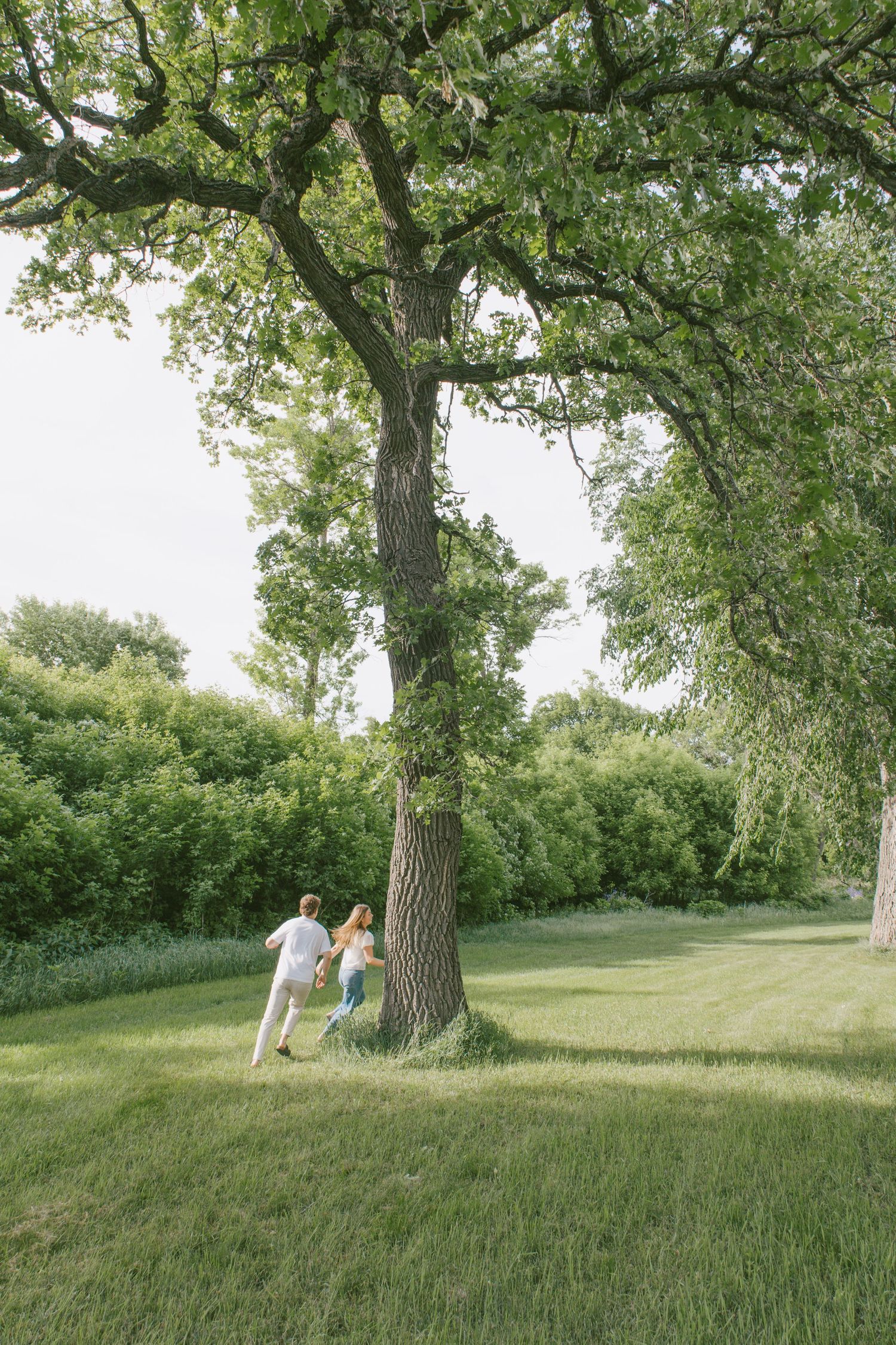 Couple holding hands running toward a large oak tree in a lush green park on a sunny day.
