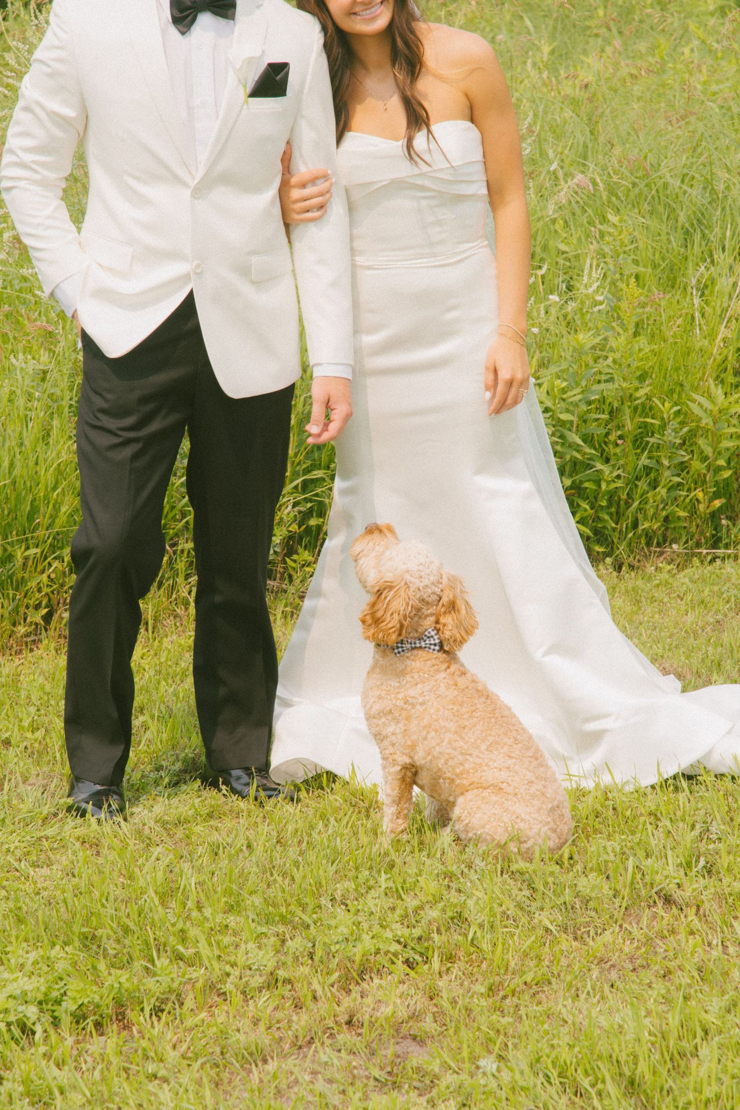 Bride and groom standing with their small curly golden dog sitting at their feet in a green field.