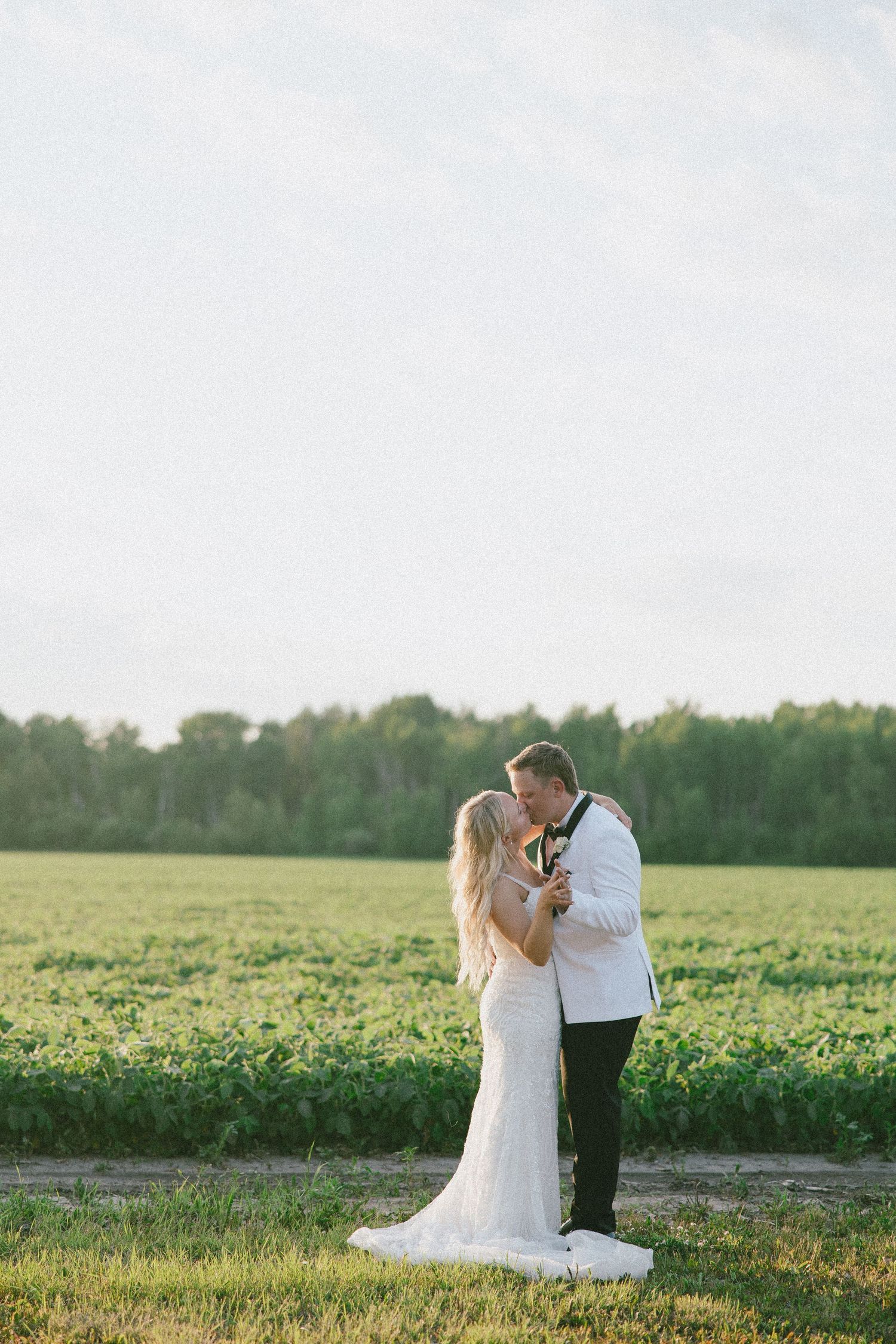 Bride and groom share a romantic kiss in a lush green field at golden hour, bride in elegant white gown.
