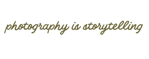 Elegant cursive script text reading 'photography is storytelling' in olive green on a white background.