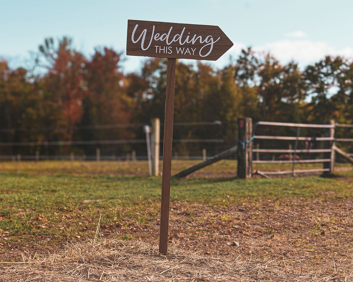Rustic wooden wedding directional sign pointing right in a sunny farm field with autumn trees.
