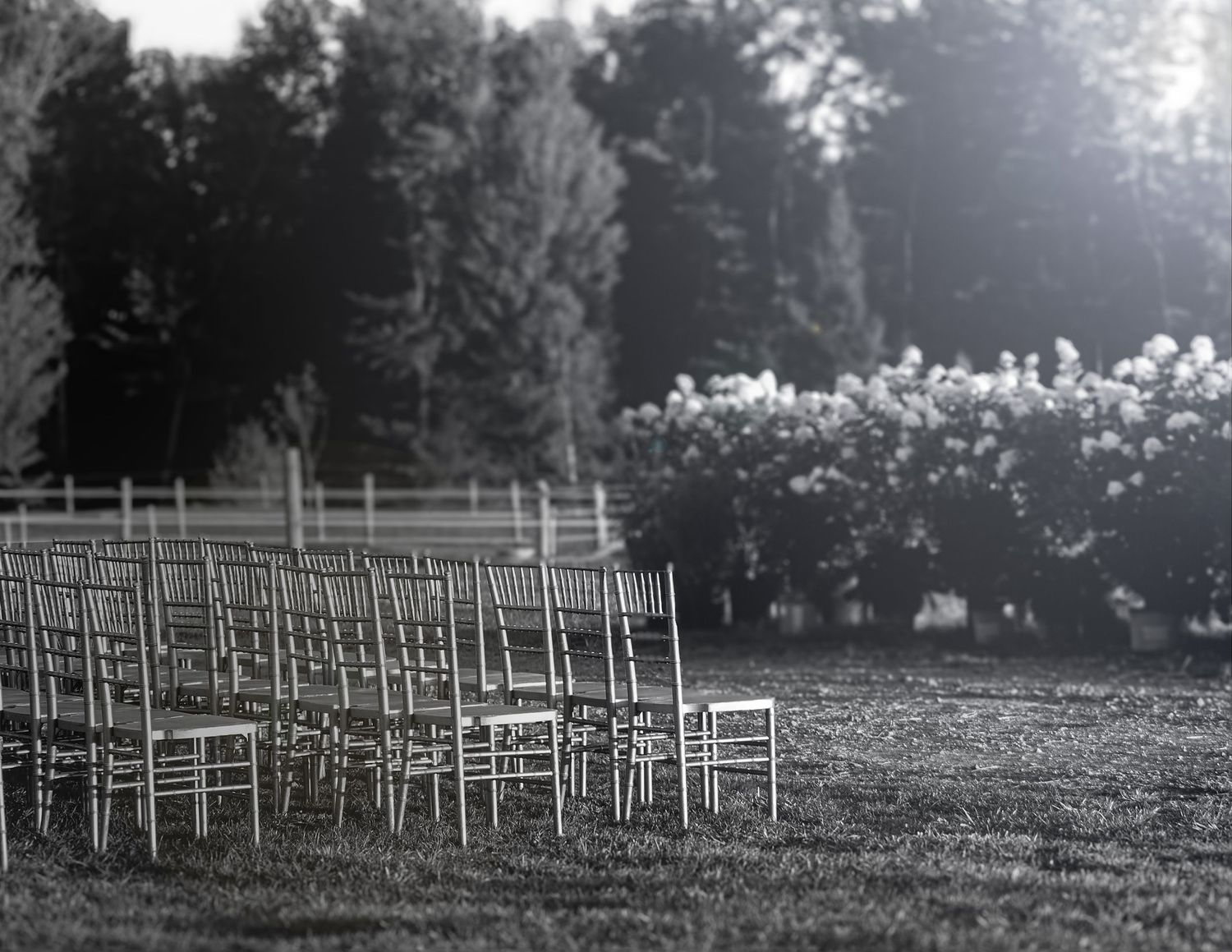 Black and white photo of rows of empty chairs set up outdoors on a lawn for a wedding ceremony.