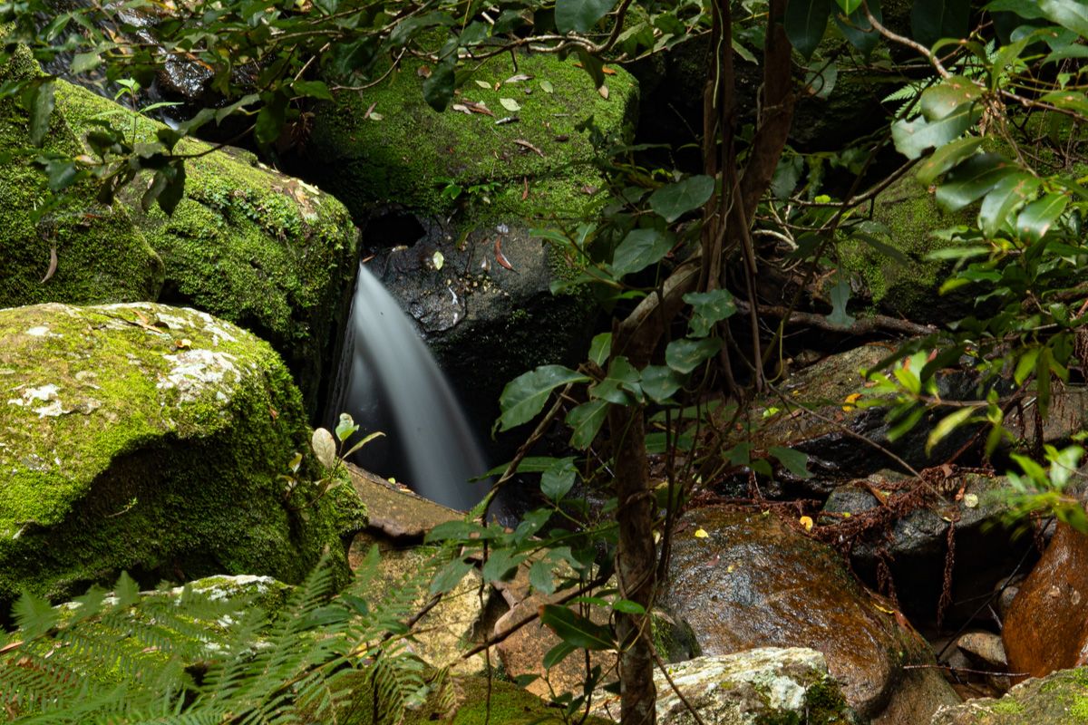 Rainbow Falls, Macquarie Pass