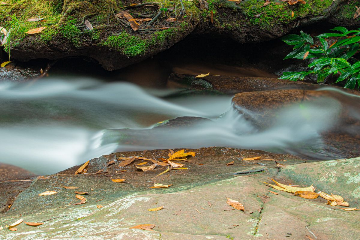 Rainbow Falls, Macquarie Pass