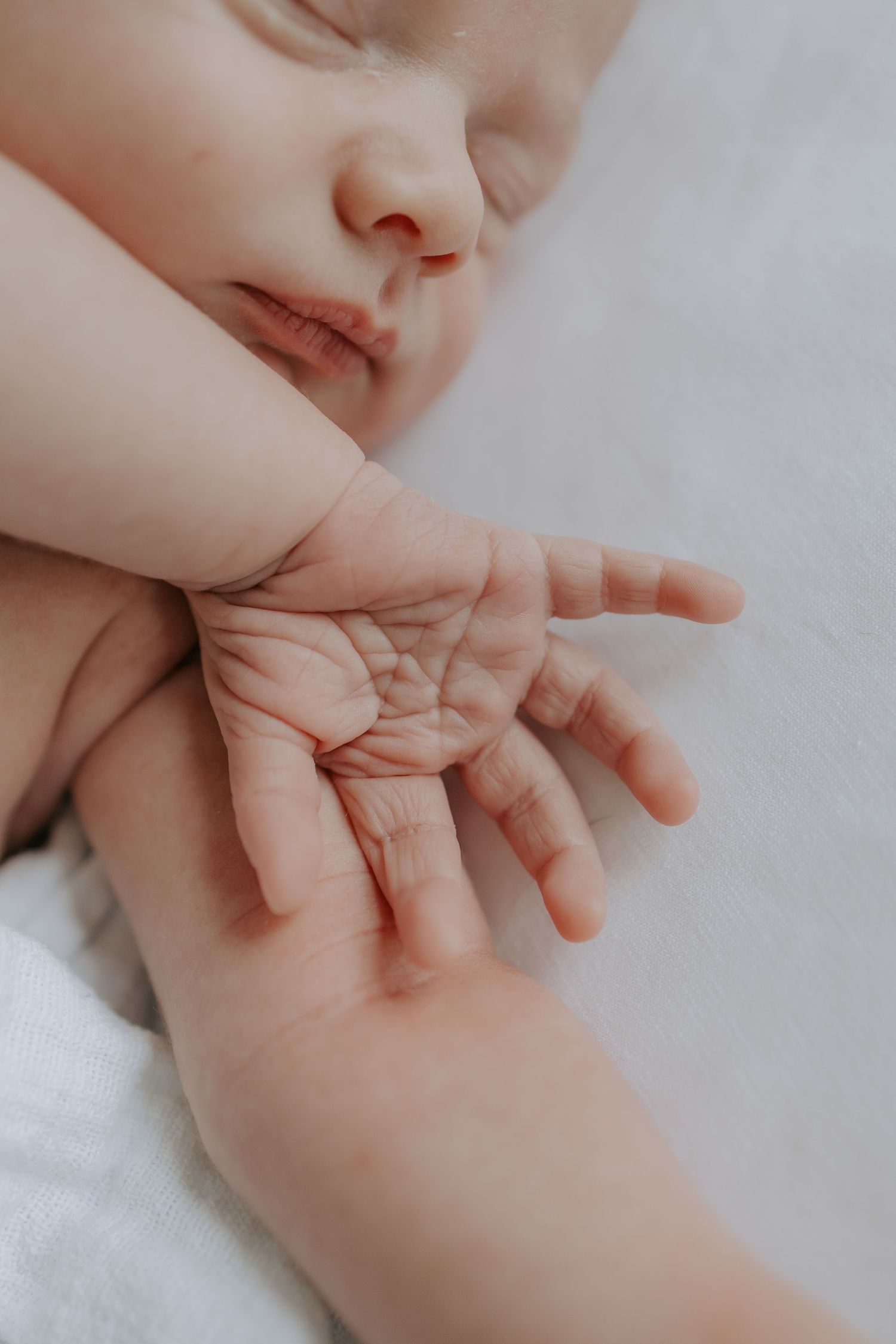 Close-up of sleeping newborn baby with tiny open hand resting on white blanket.
