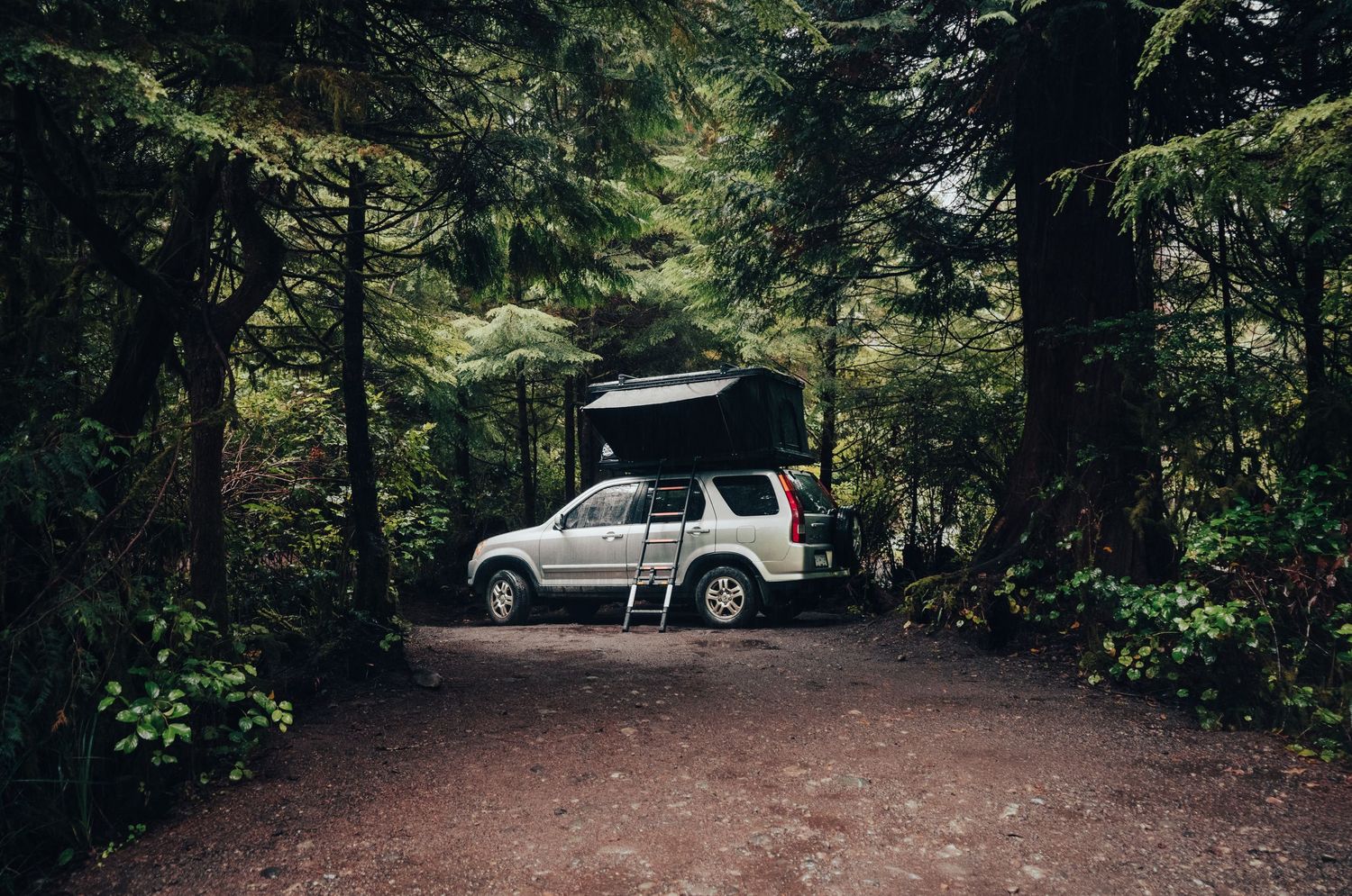 SUV with rooftop tent parked on a forest campsite trail surrounded by lush green trees. brand content toxin