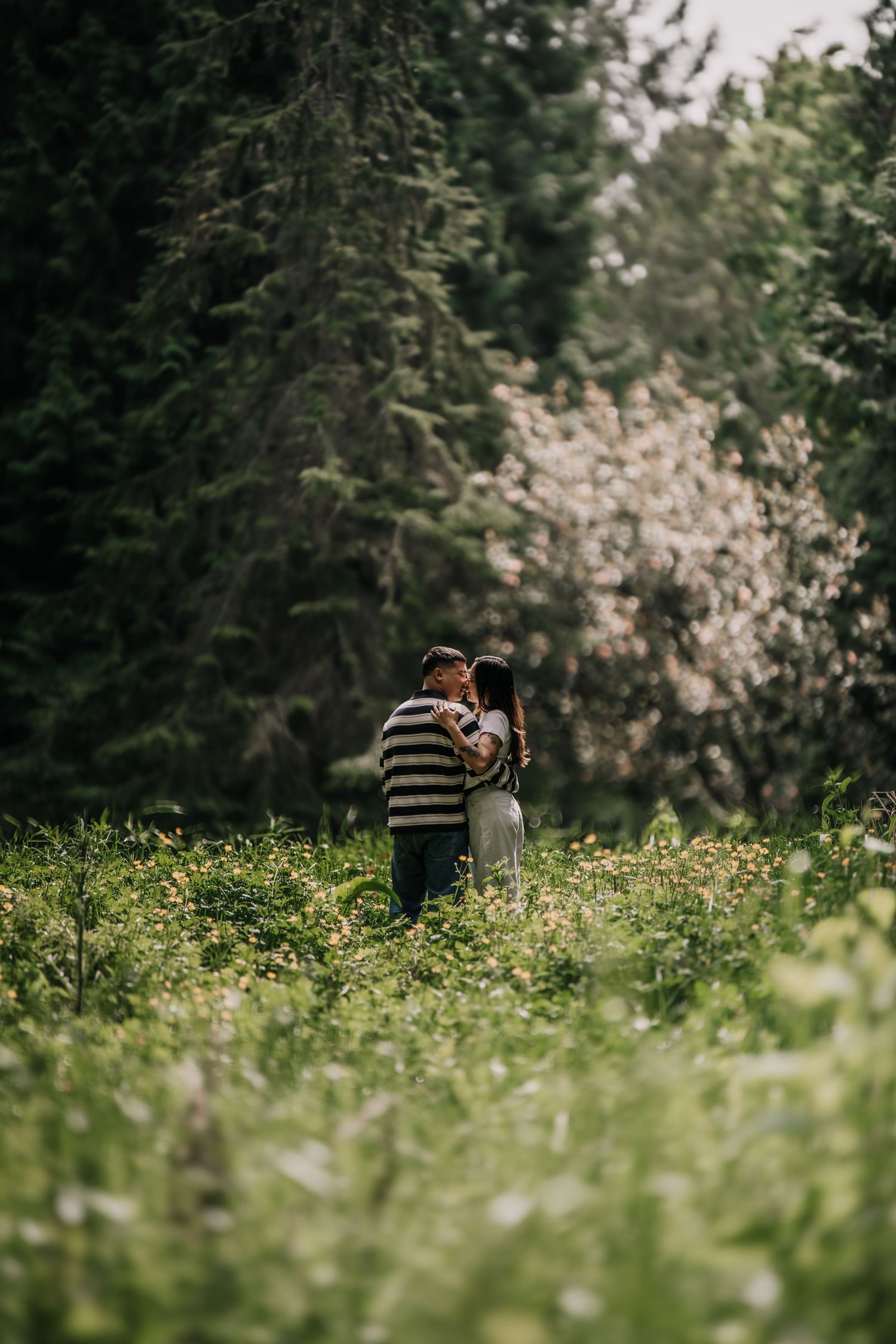 Couple embracing romantically in a lush green meadow with wildflowers, surrounded by tall evergreen trees and a blossoming tree.