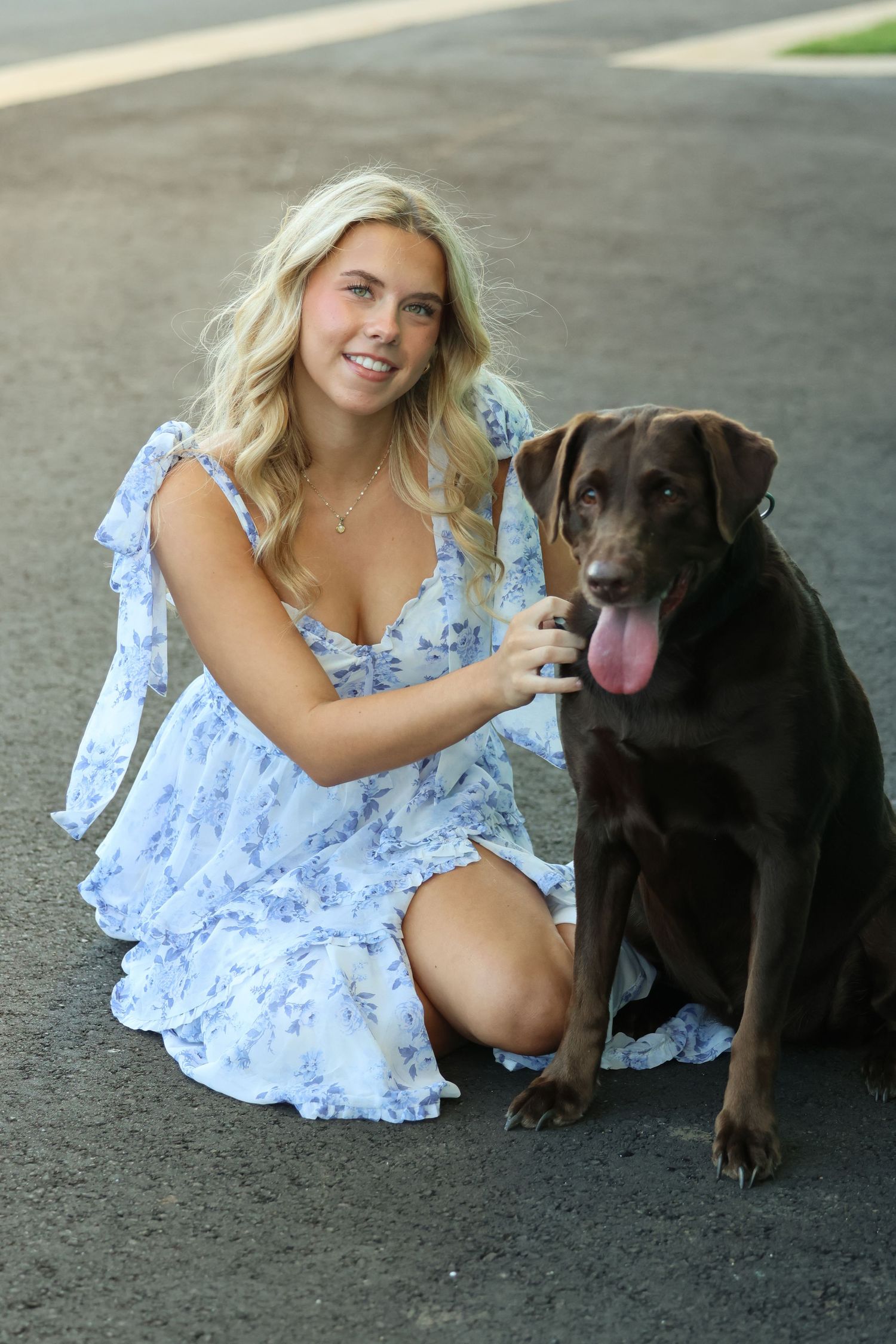 A chocolate Labrador sits with someone wearing a blue floral dress on dark pavement in a multi-panel photo series.