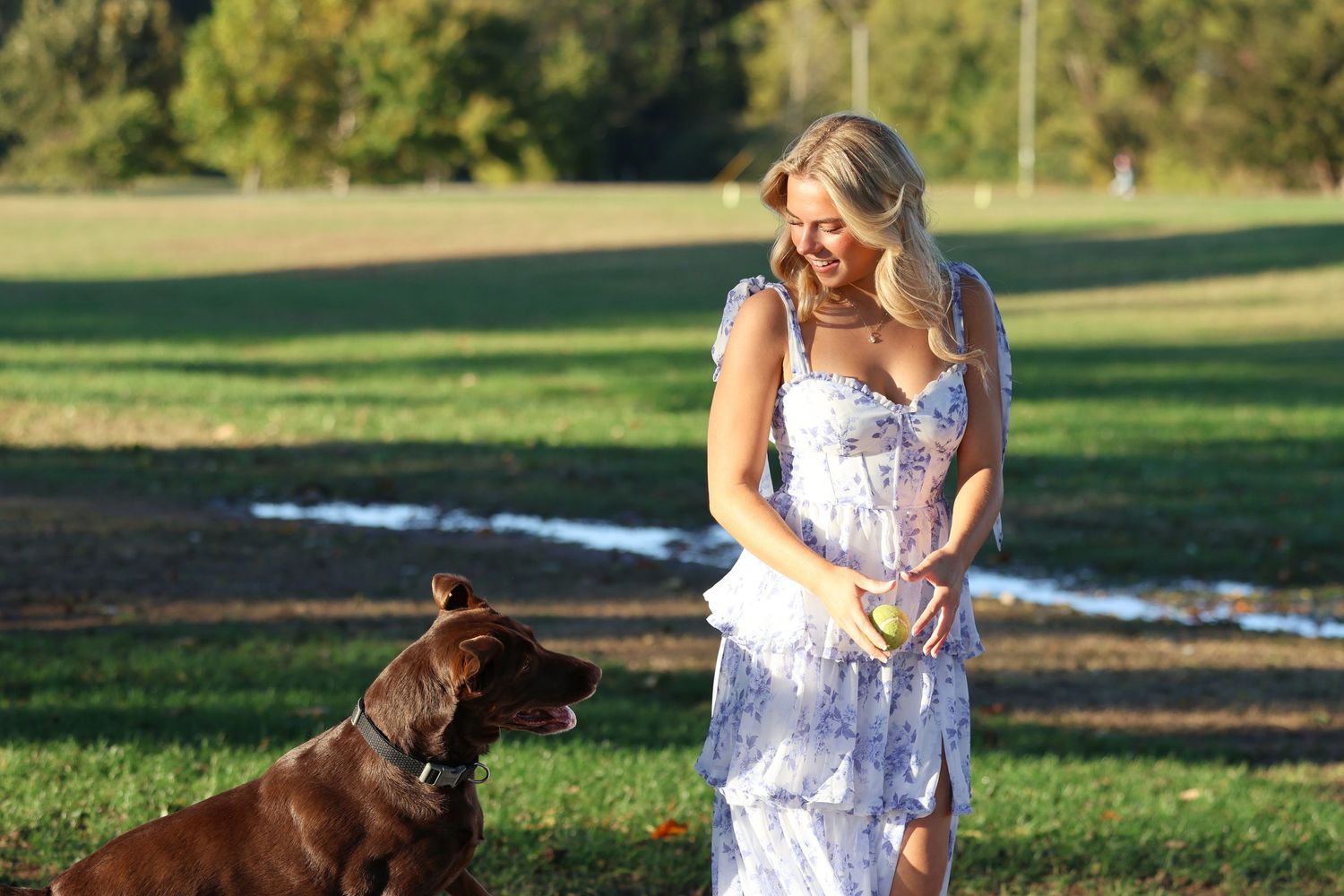 A person in a floral dress plays with a brown dog in a sunny outdoor setting.