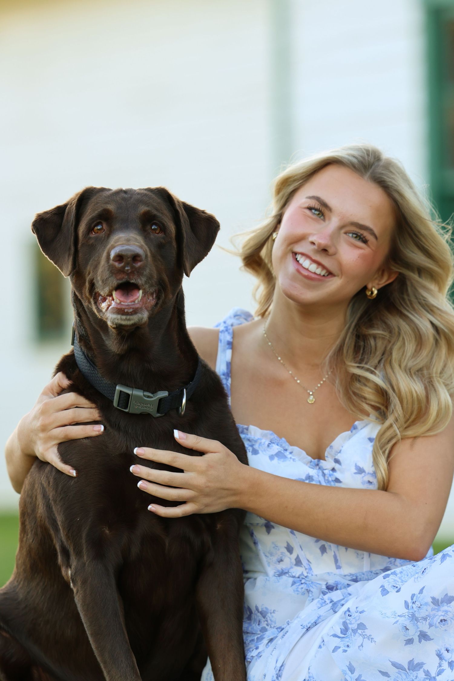 A chocolate Labrador retriever poses with someone wearing a blue floral dress in a series of outdoor portraits.