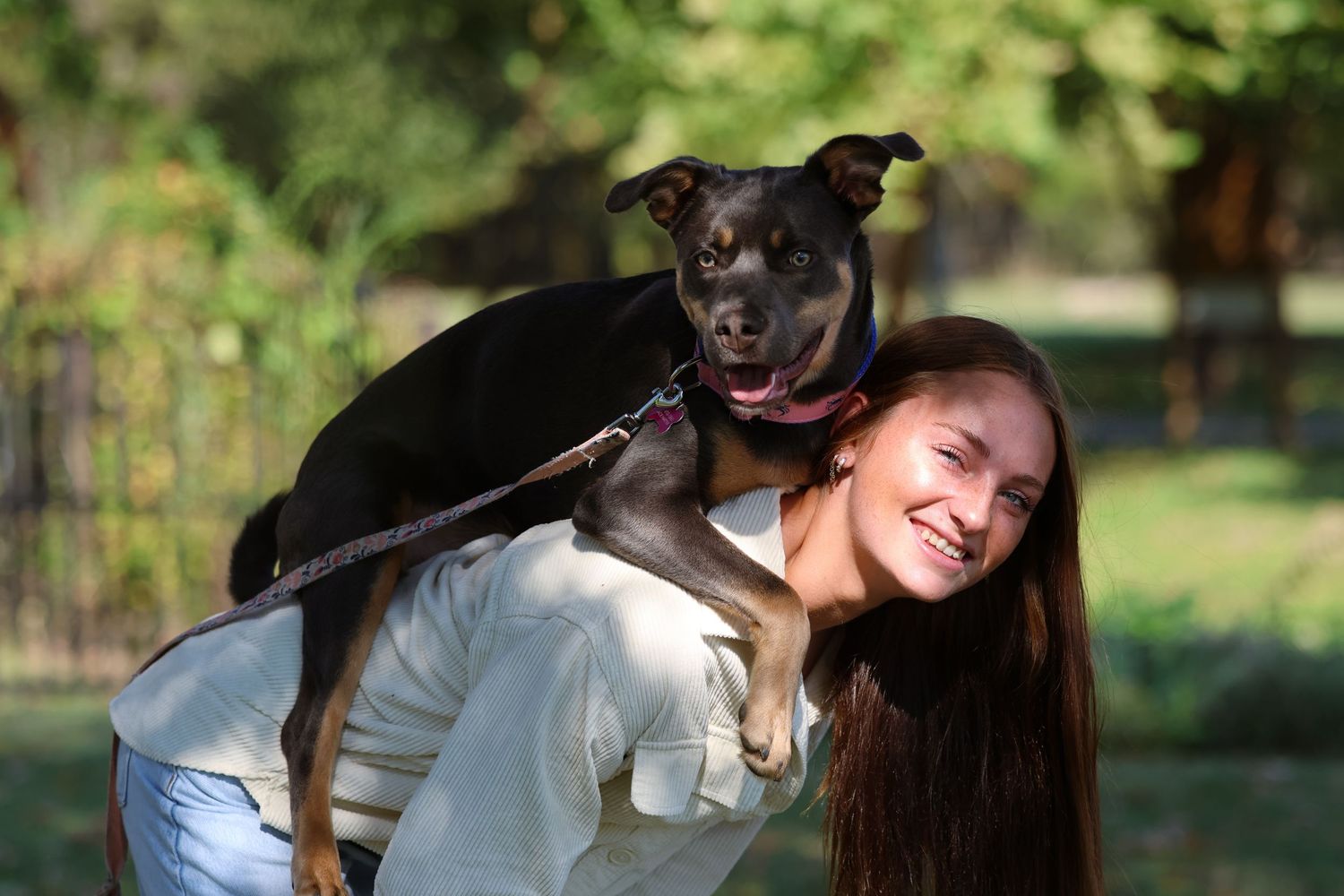 A black dog shares a joyful moment with someone outdoors.