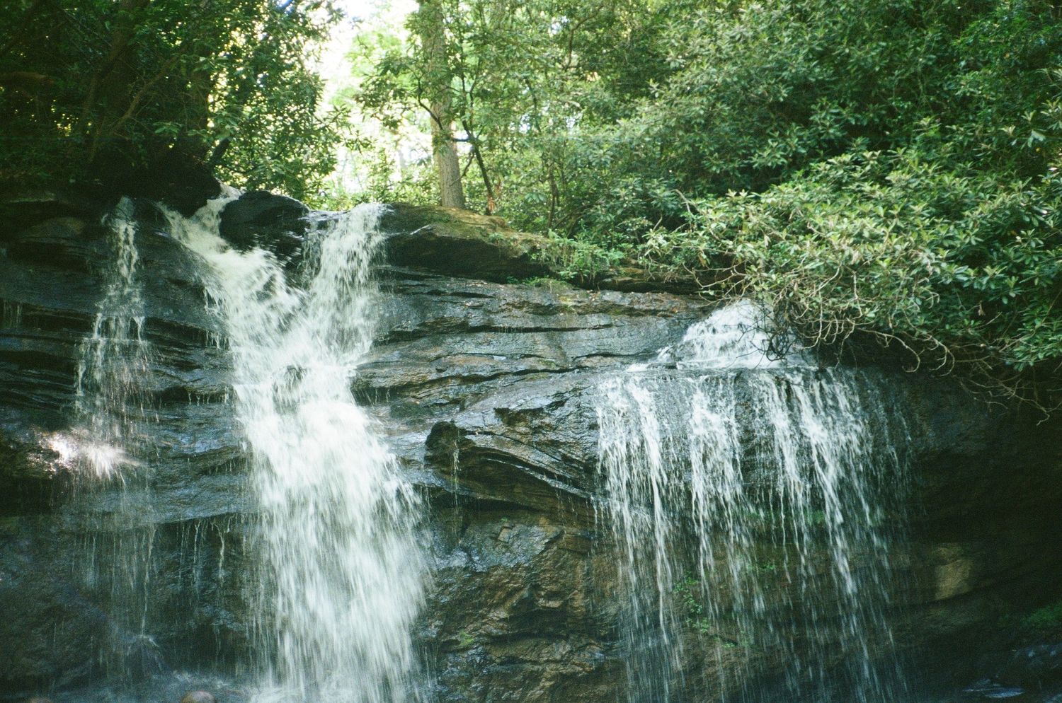 Serene waterfall cascading over mossy rocks in a lush green forest setting.