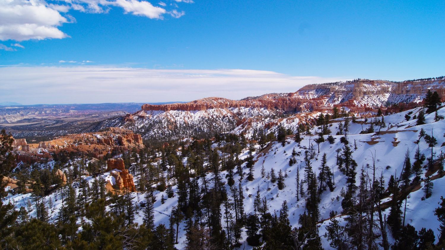Panoramic winter landscape of snow-covered mountains and evergreen forests under blue skies.