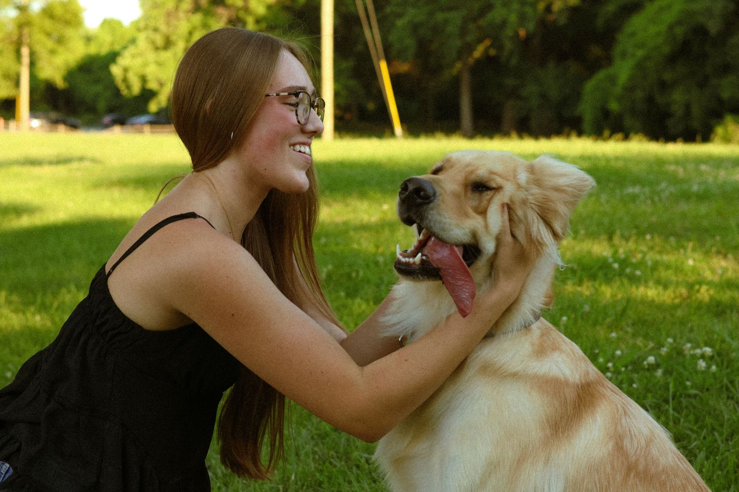 Young woman with glasses smiling and petting a happy Golden Retriever dog on green grass in a park.