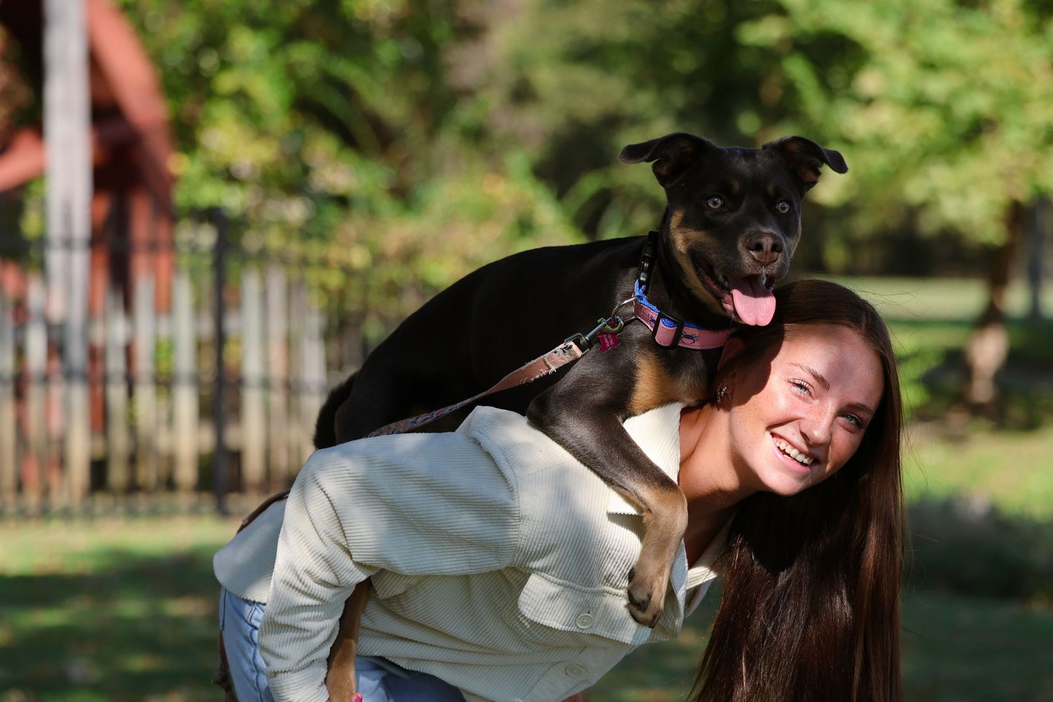 Sweet interaction between a person and their small black dog in a park setting.