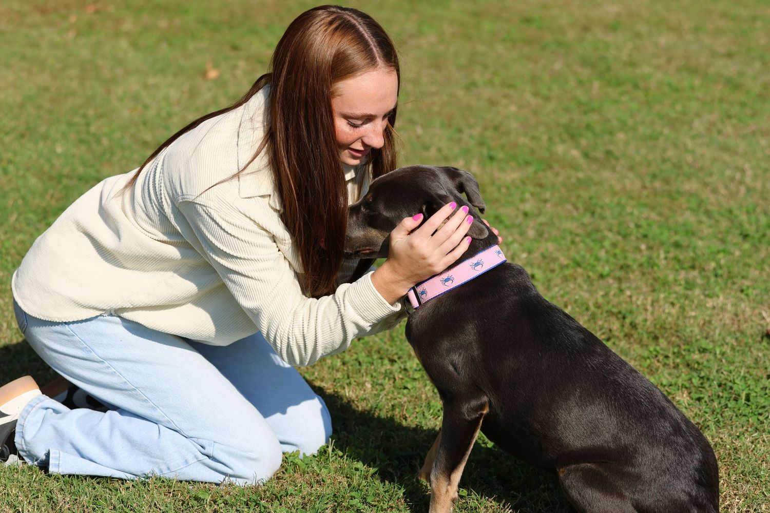 A happy black dog receives affection from someone in a white sweater on a grassy field.