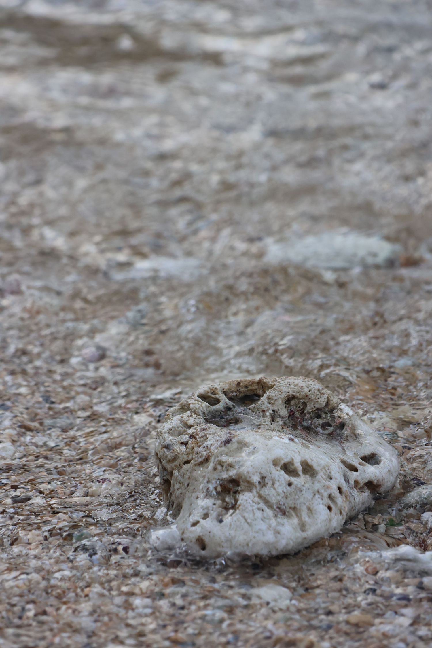 Close-up of weathered stone texture with natural erosion patterns.