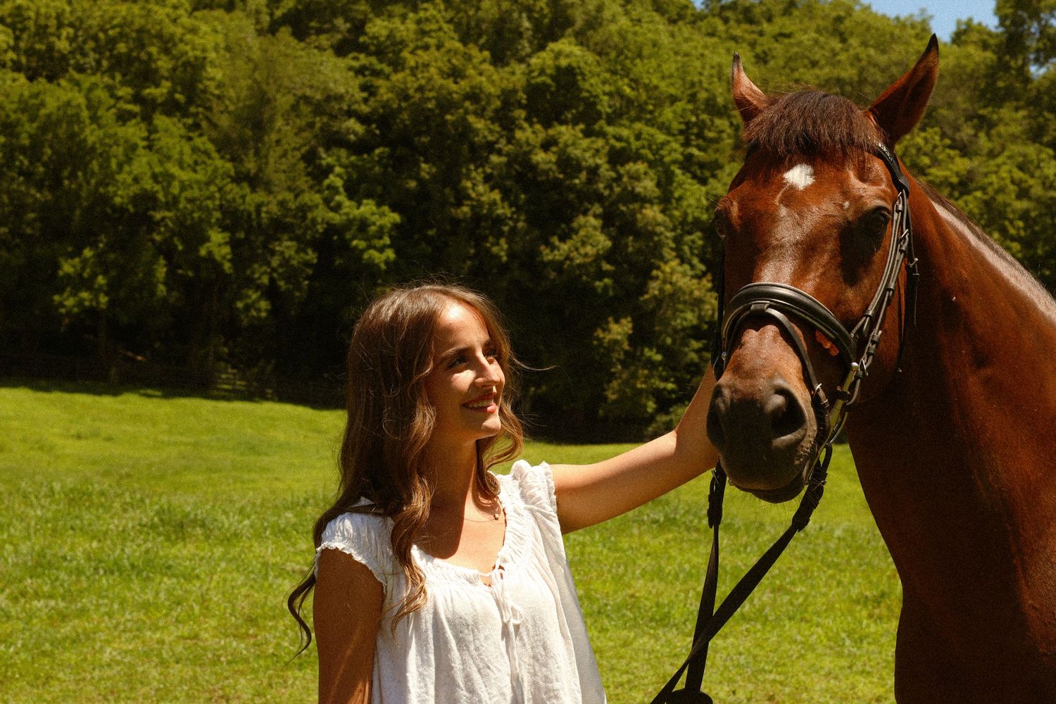 A young girl in a white dress smiles while petting a chestnut horse in a sunny green field.