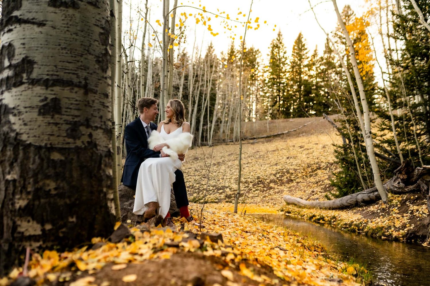 Wedding couple sits on fallen leaves beneath towering aspen trees in golden autumn light.