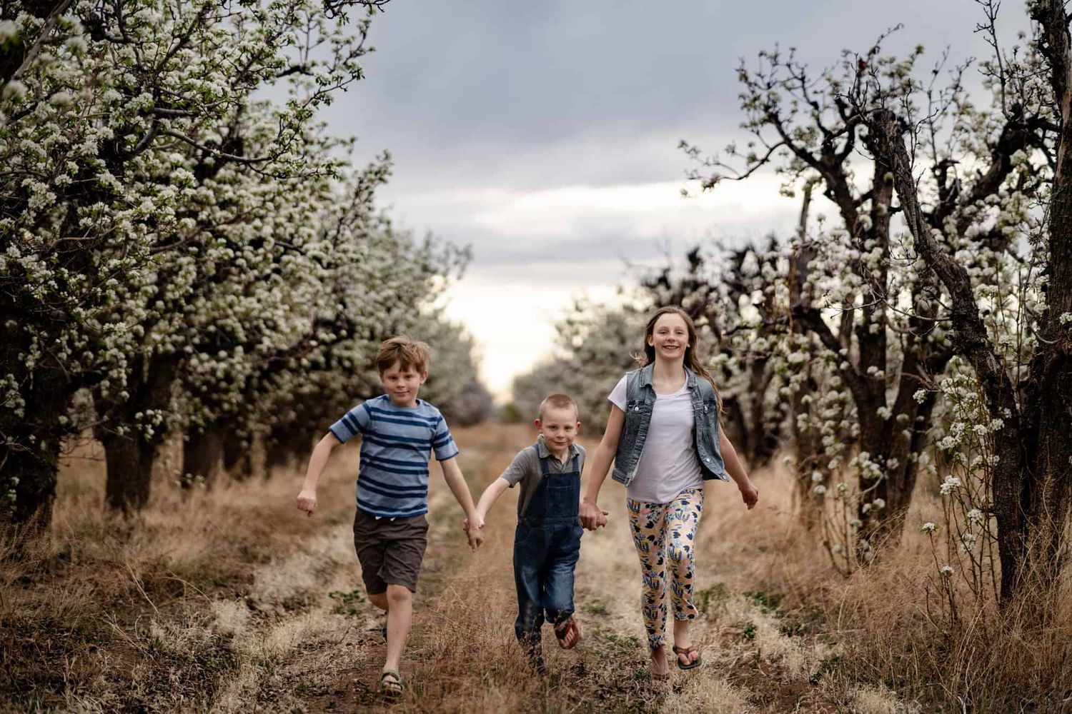 Three people running together on a dirt path through a blossoming orchard in springtime.