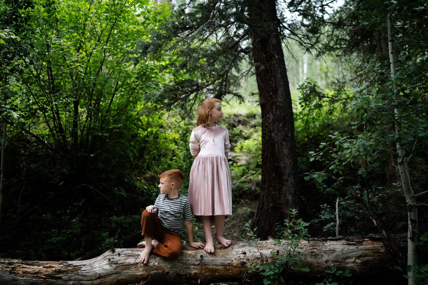 Two children exploring nature while standing on fallen log in forest.