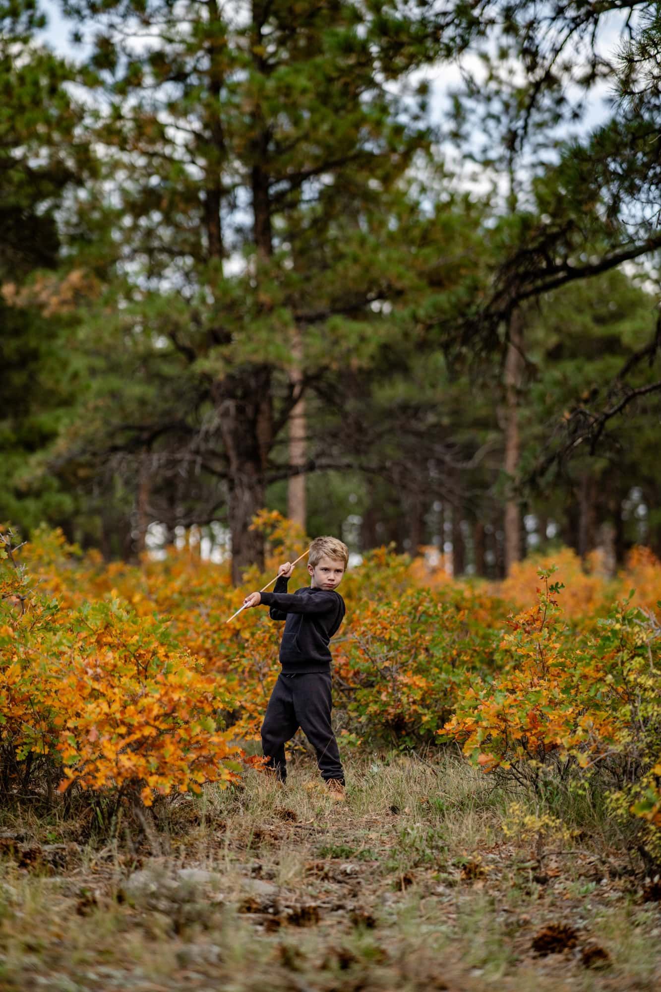 Child playing outdoors among autumn foliage and pine trees.