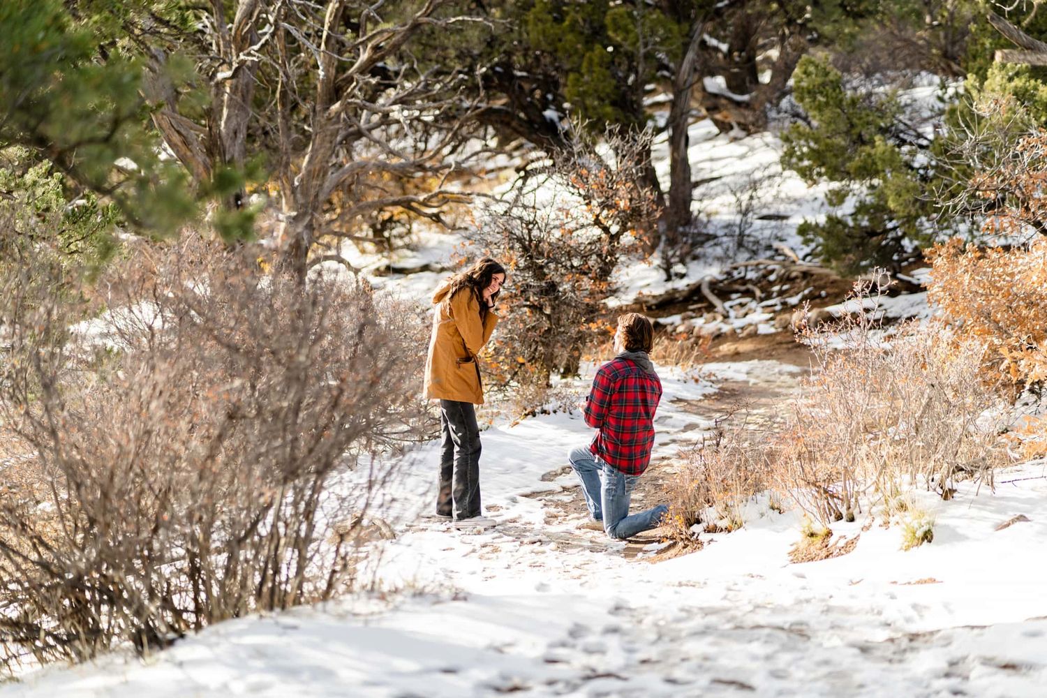 Two people walking through snowy winter landscape with bare branches.