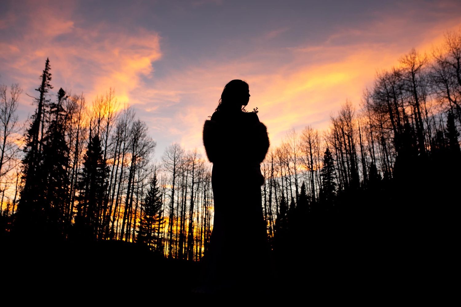 Silhouette of a figure standing against a vibrant orange and purple sunset through bare trees.