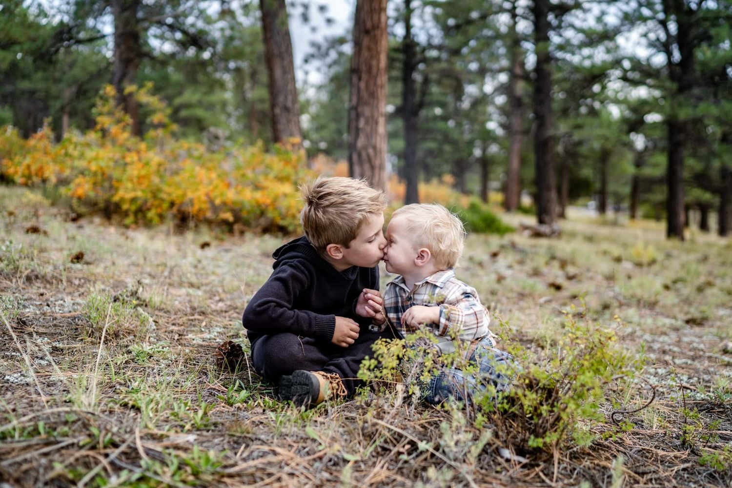 Two children sit close together on a forest hillside surrounded by pine trees and yellow wildflowers.