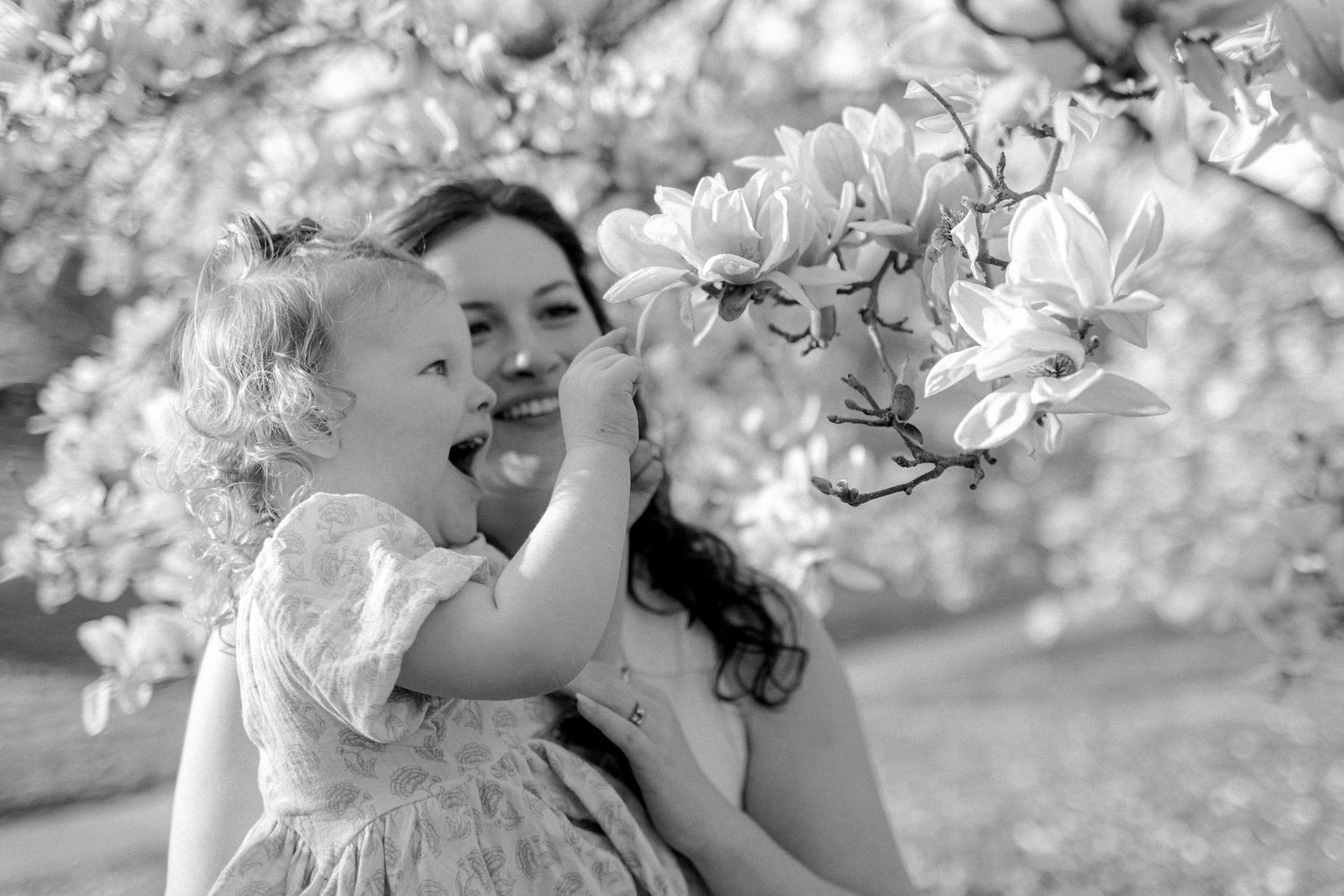 Photo by Mary Beth Russell KC